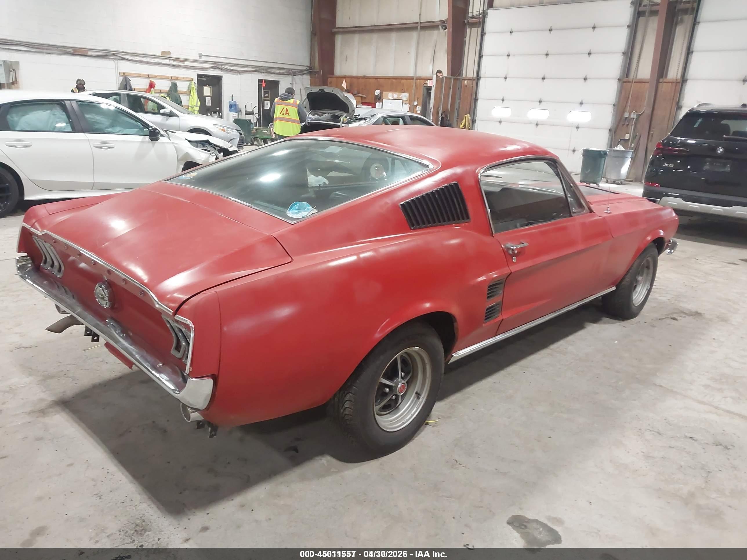 FORD MUSTANG image 4