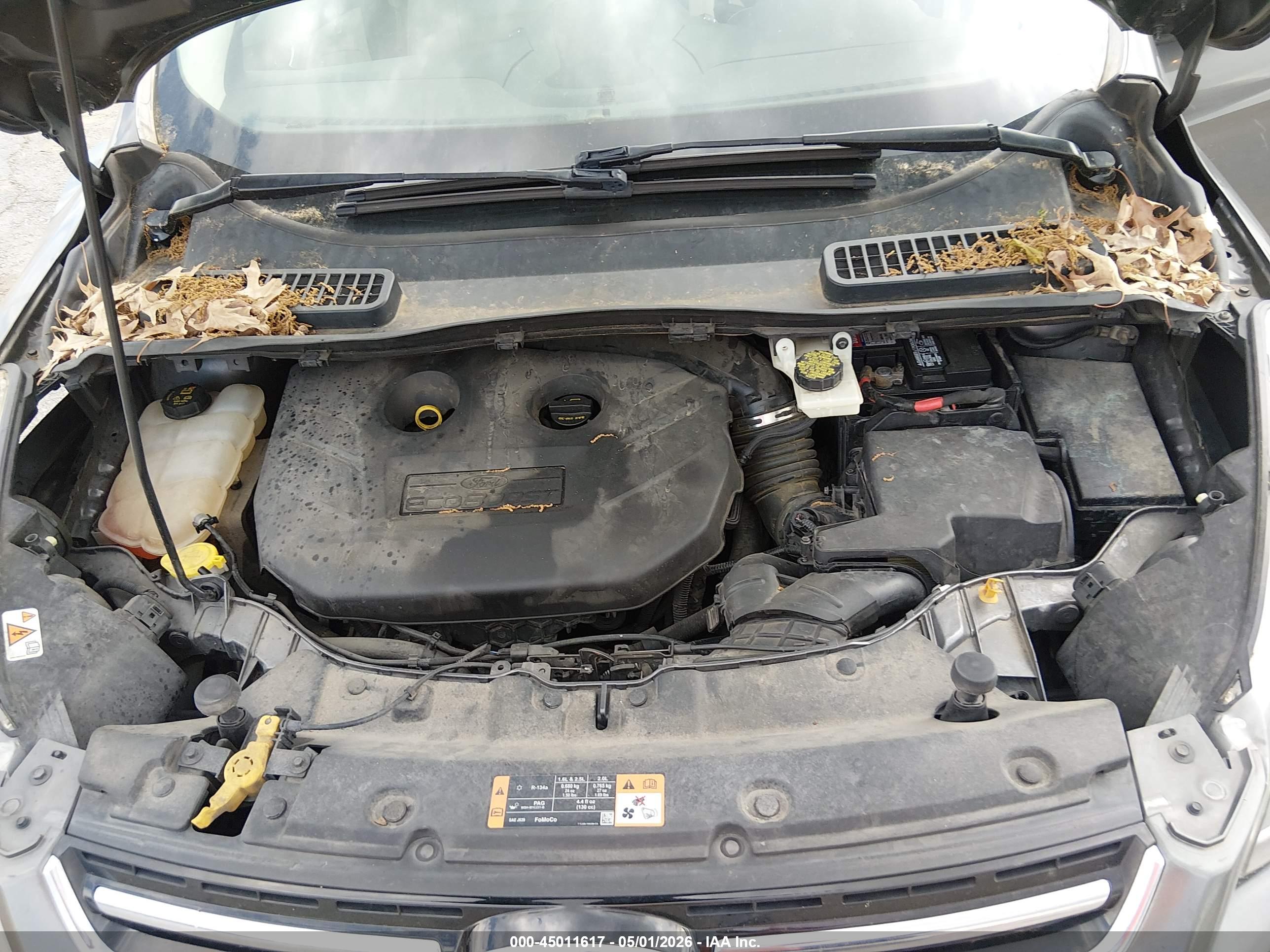 FORD ESCAPE image 10