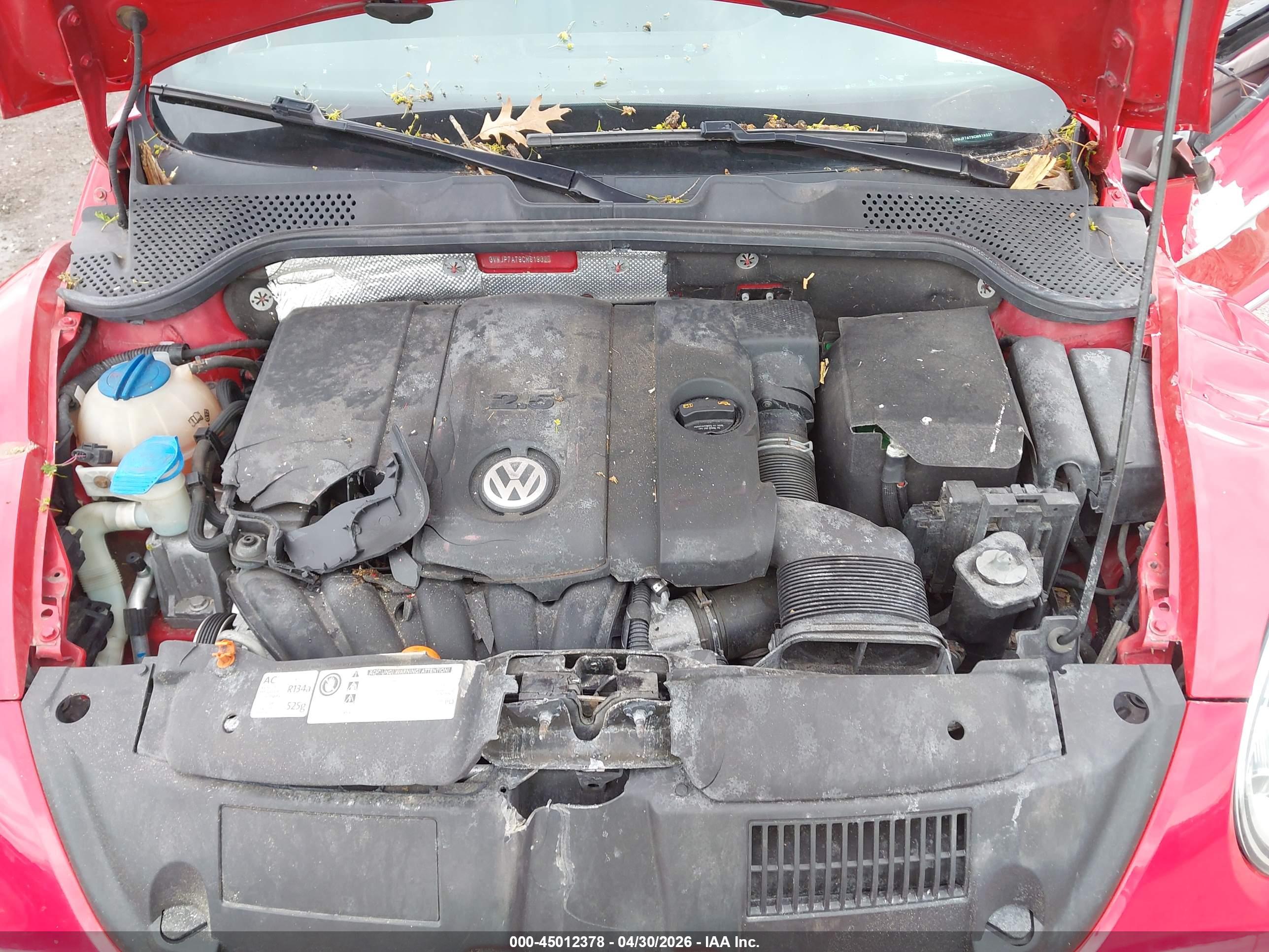 VOLKSWAGEN BEETLE image 10