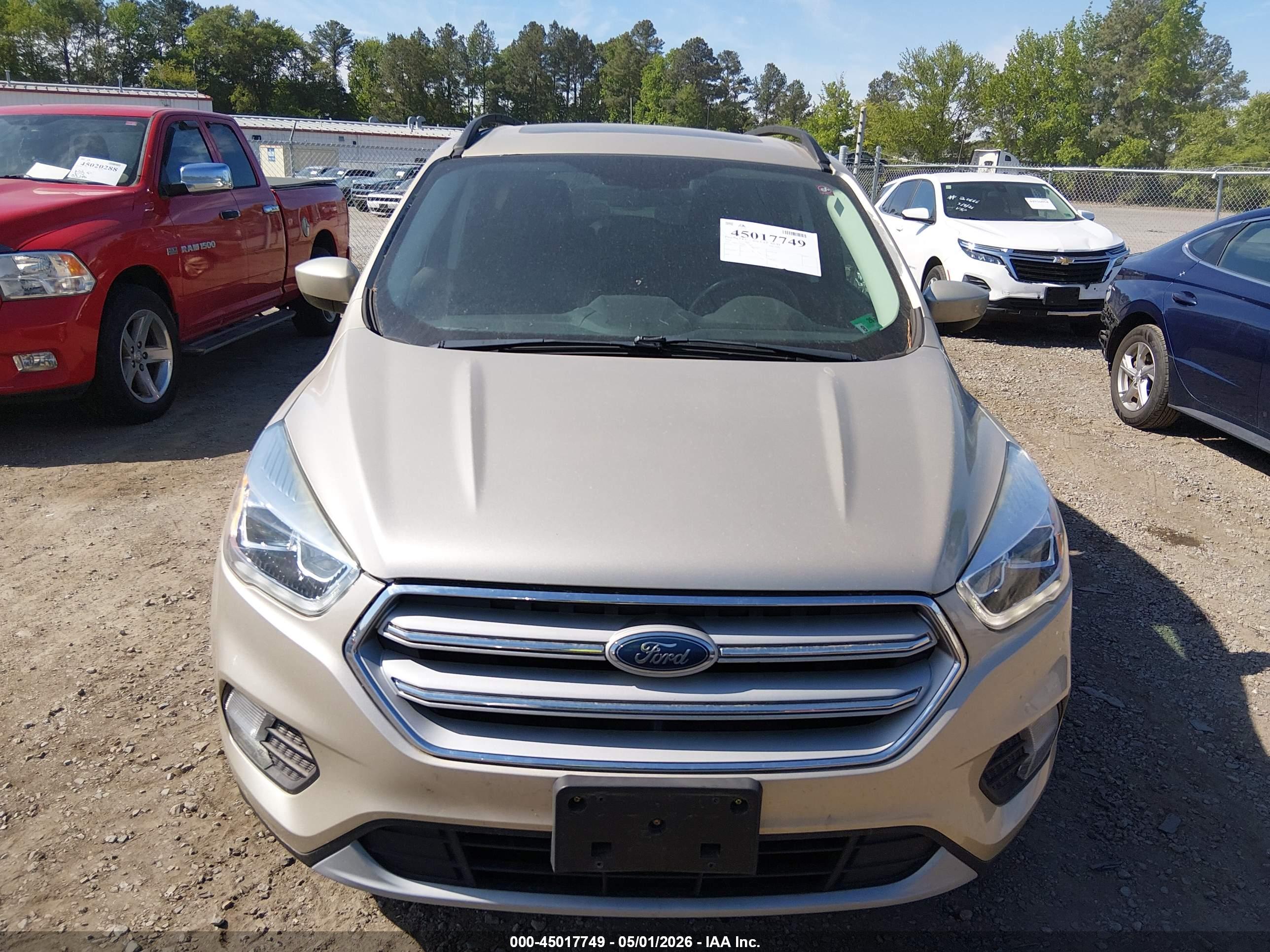 FORD ESCAPE image 6