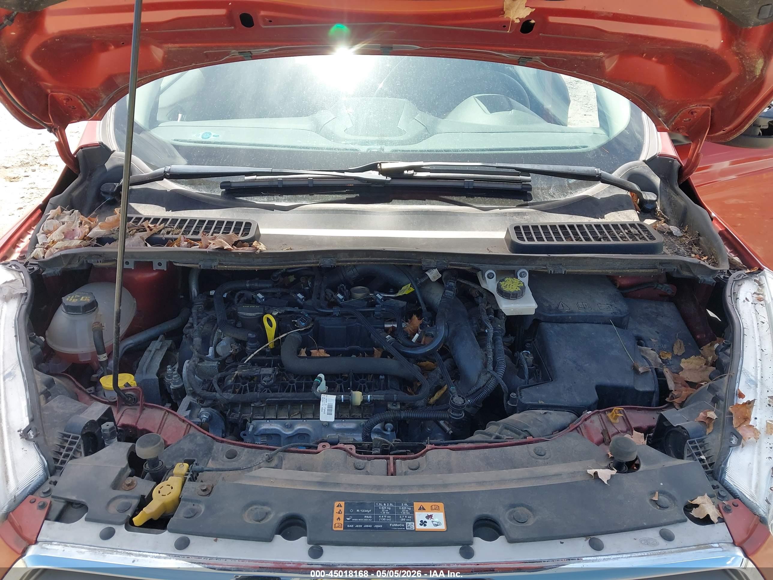 FORD ESCAPE image 10