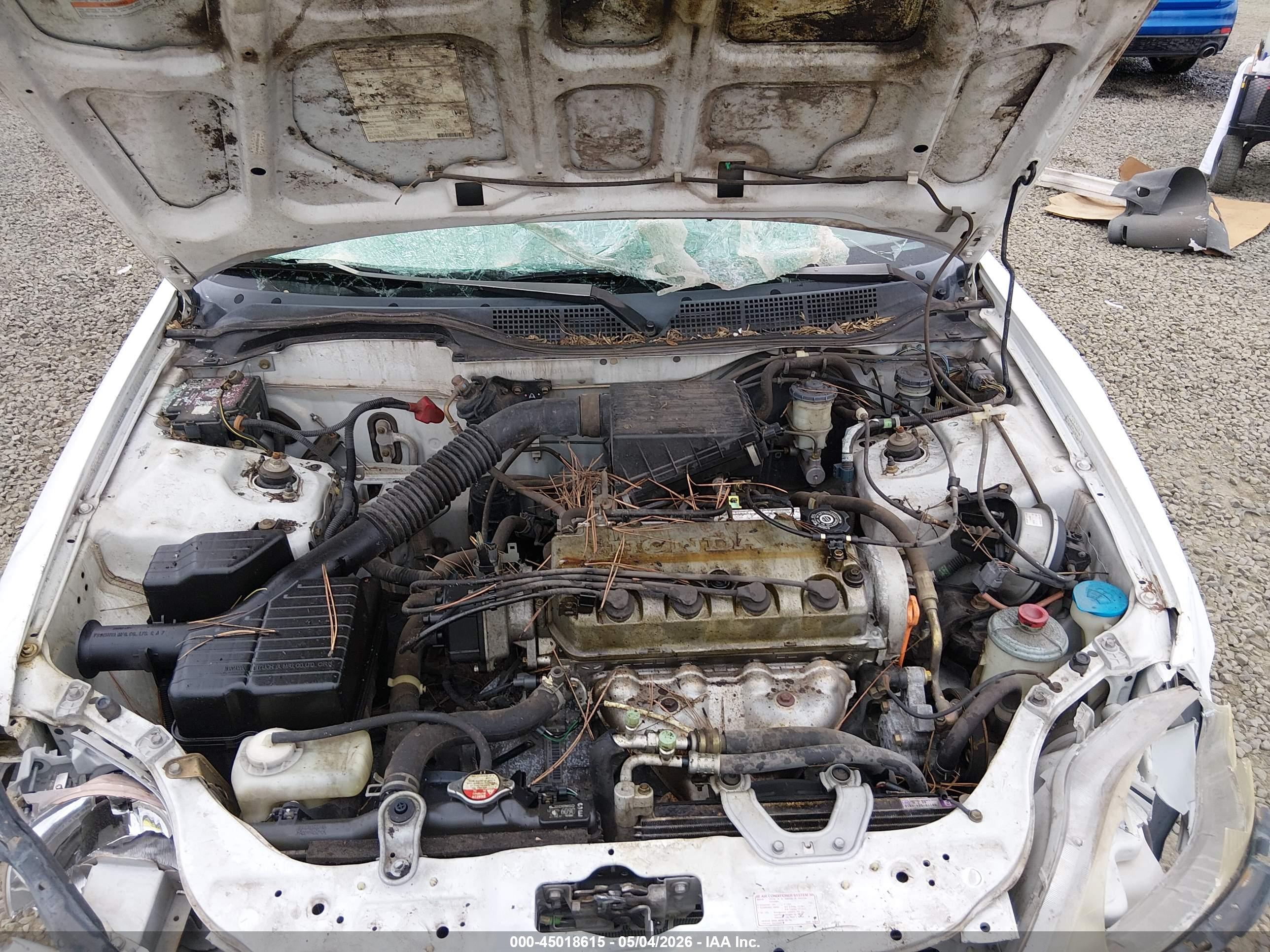 HONDA CIVIC image 10