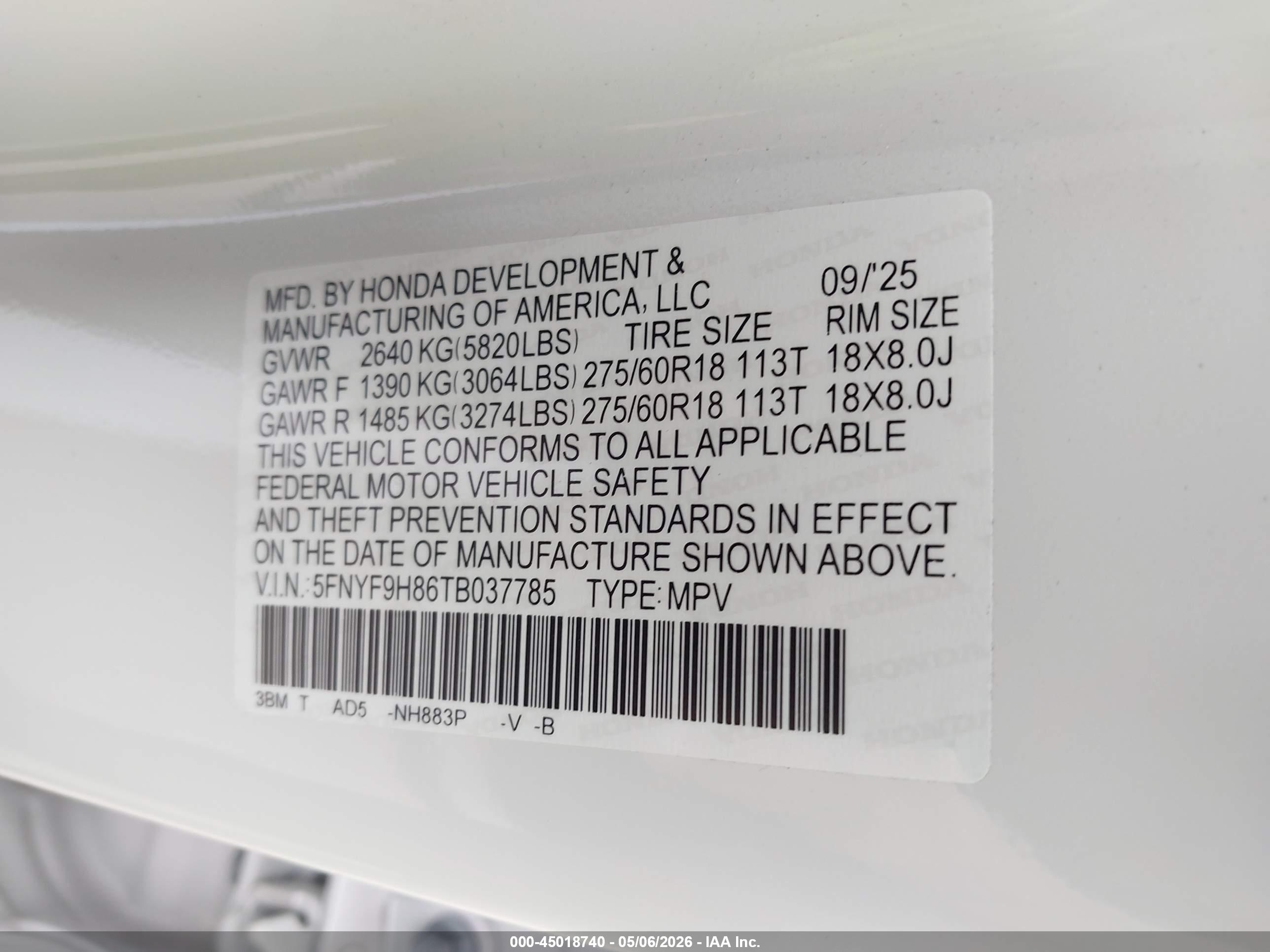 HONDA PASSPORT image 9