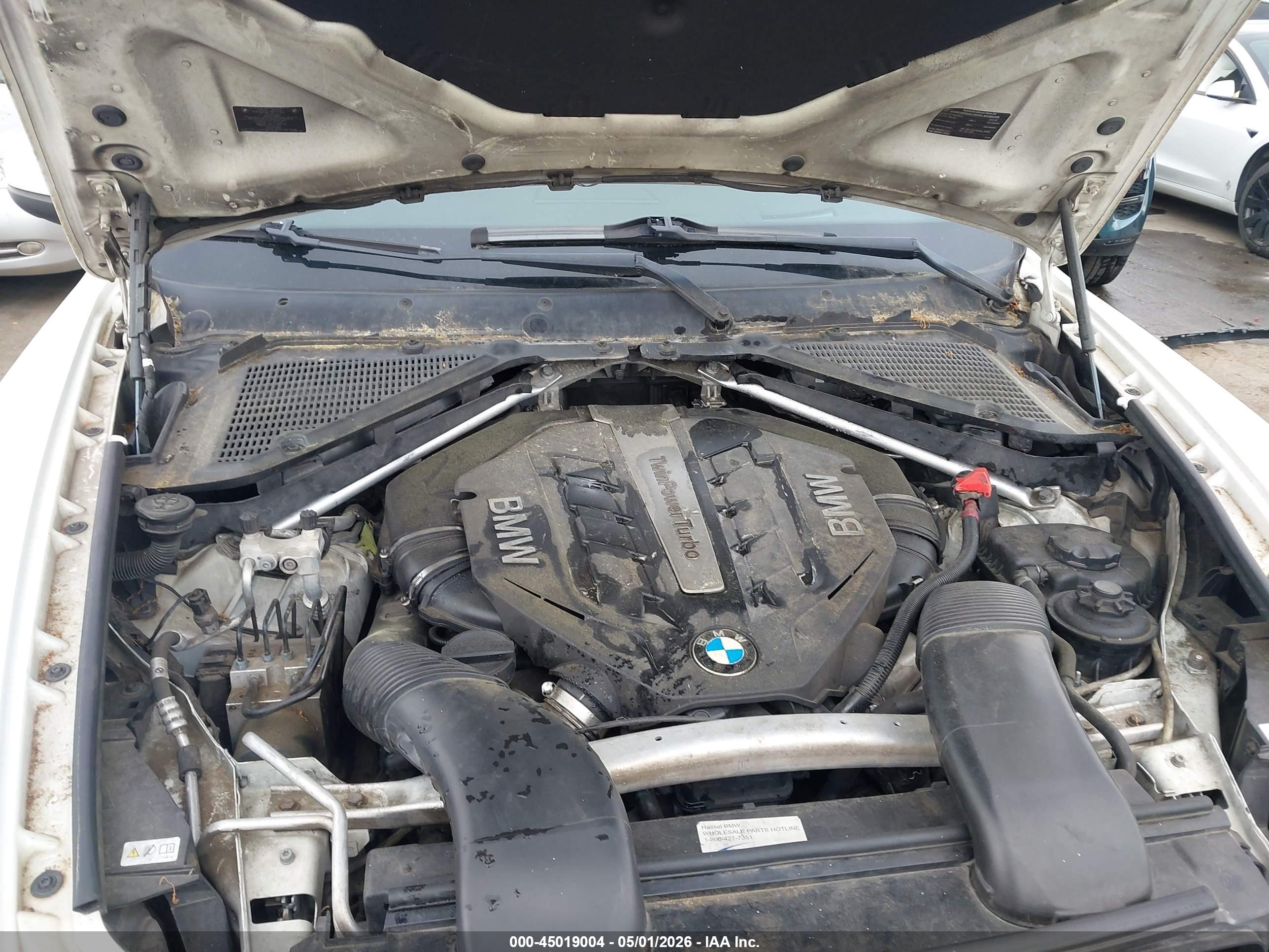 BMW X6 image 10
