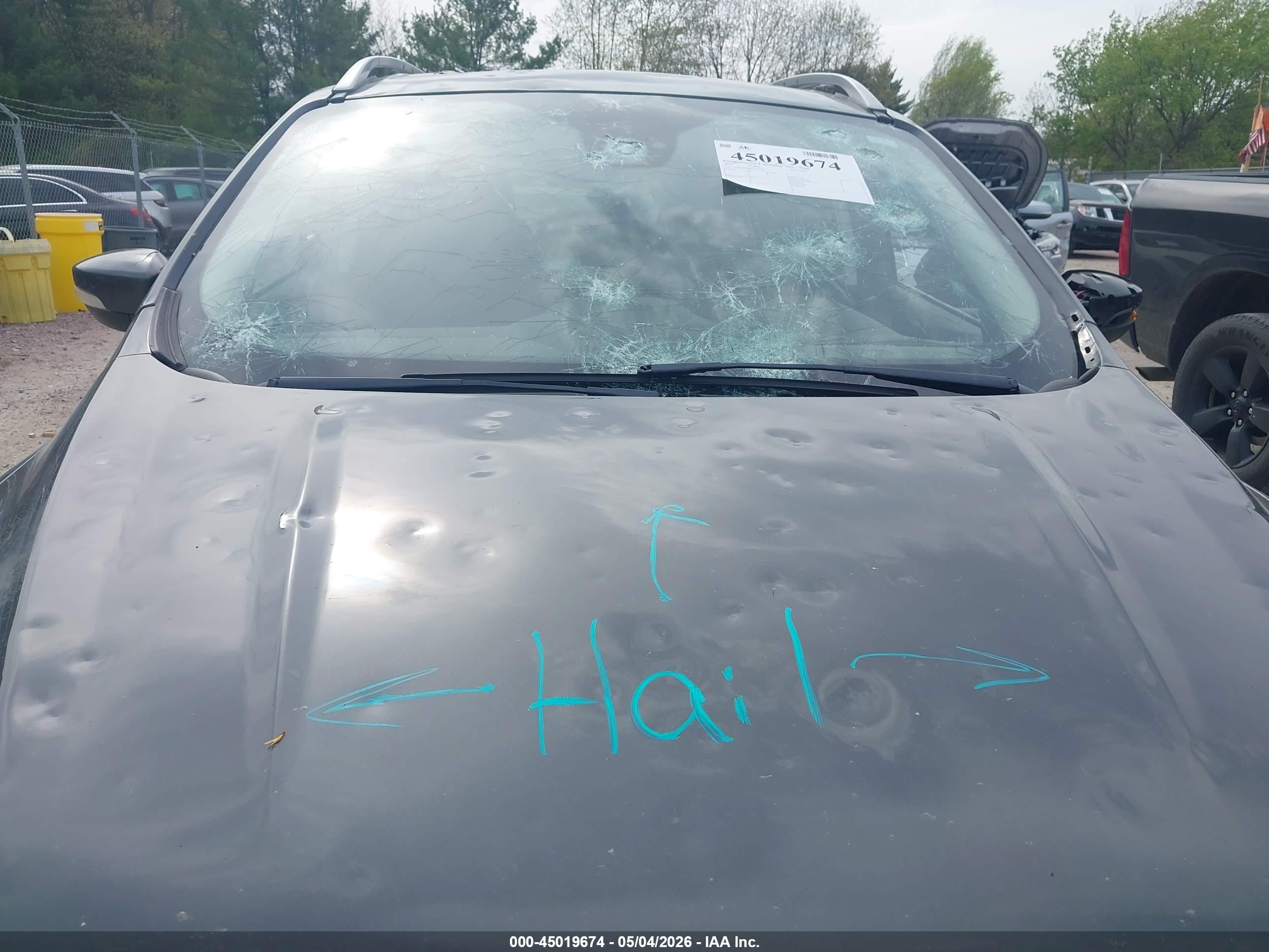 FORD ESCAPE image 6
