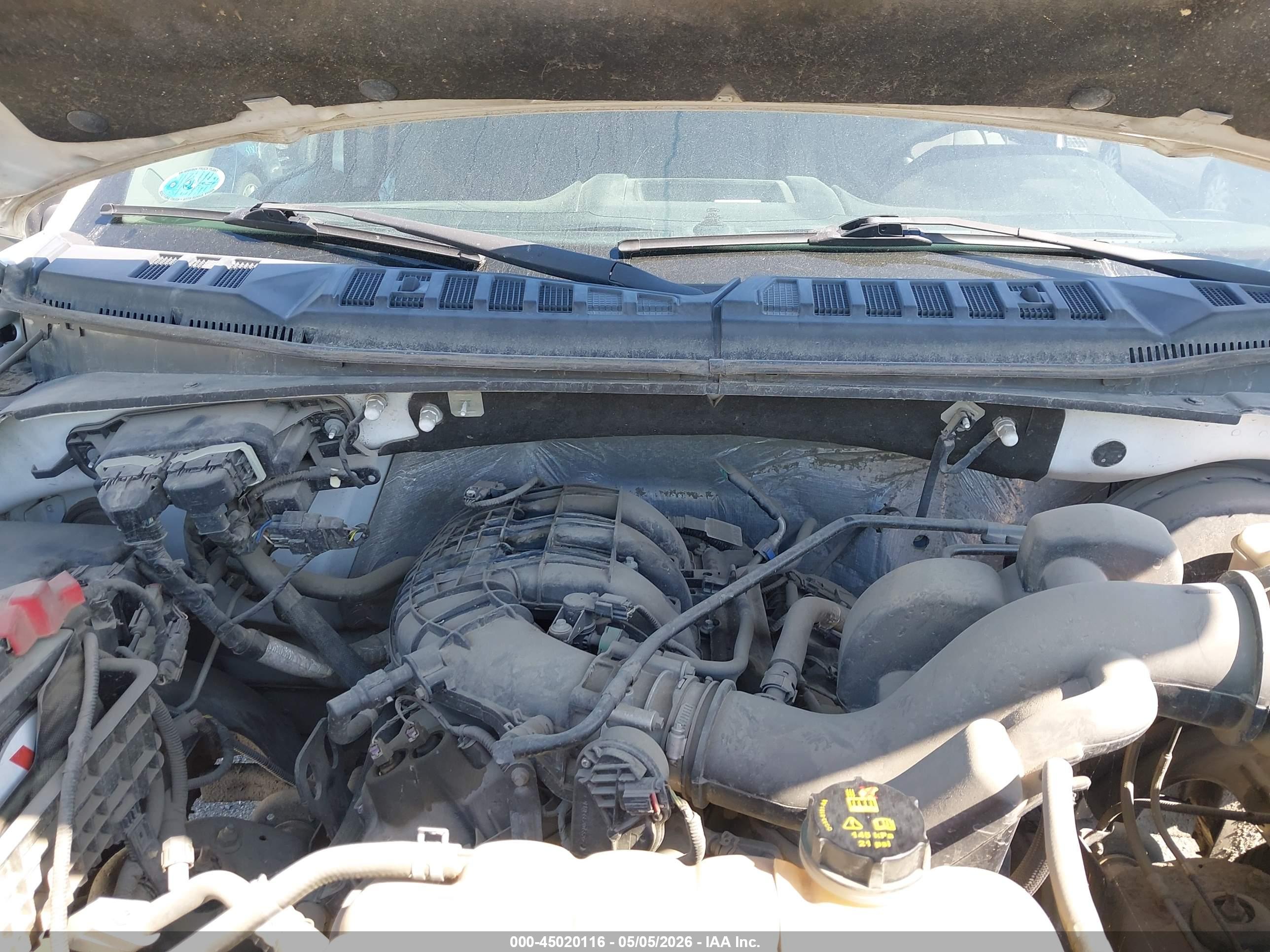 FORD F-150 image 10