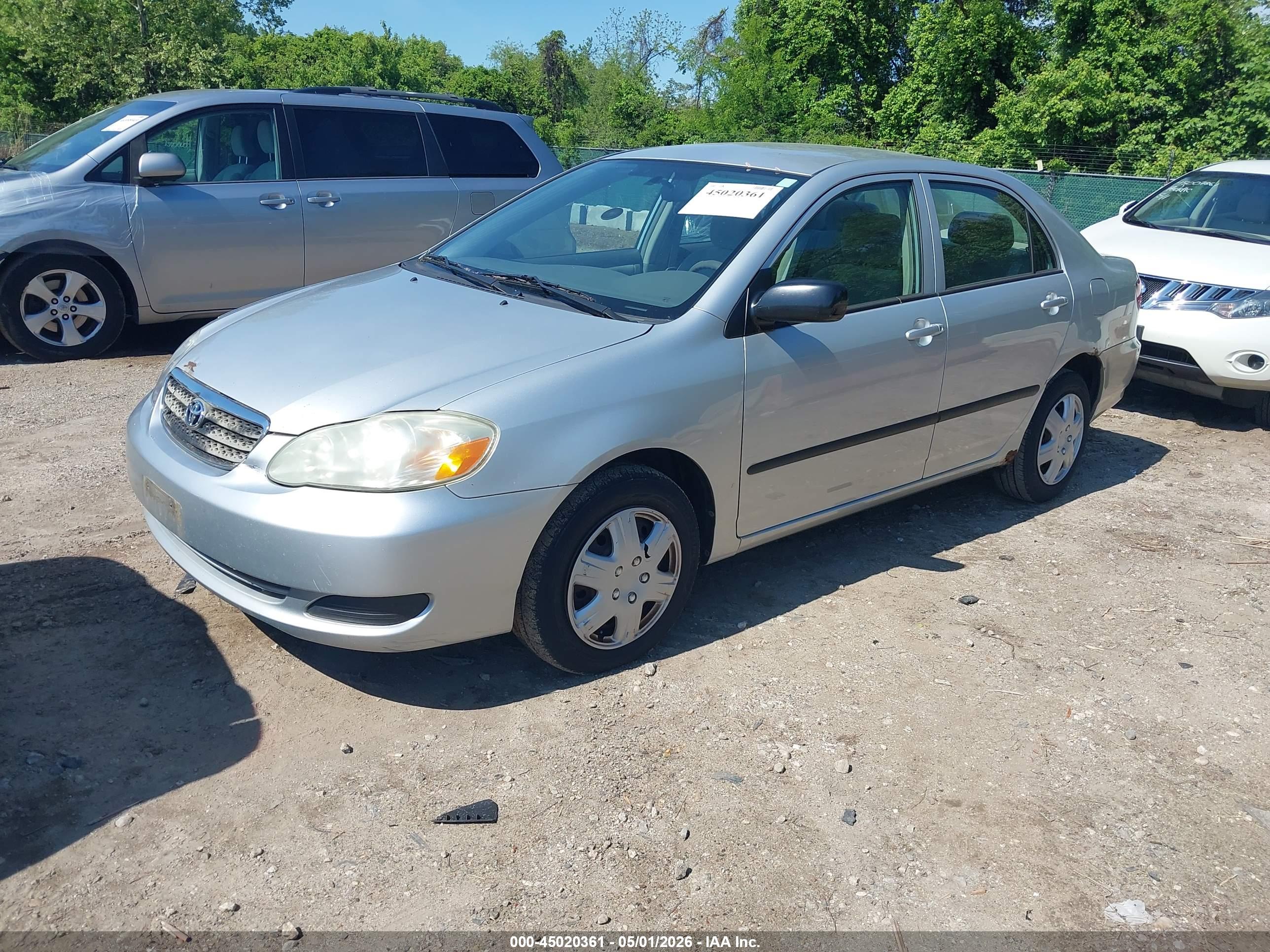 TOYOTA COROLLA image 2