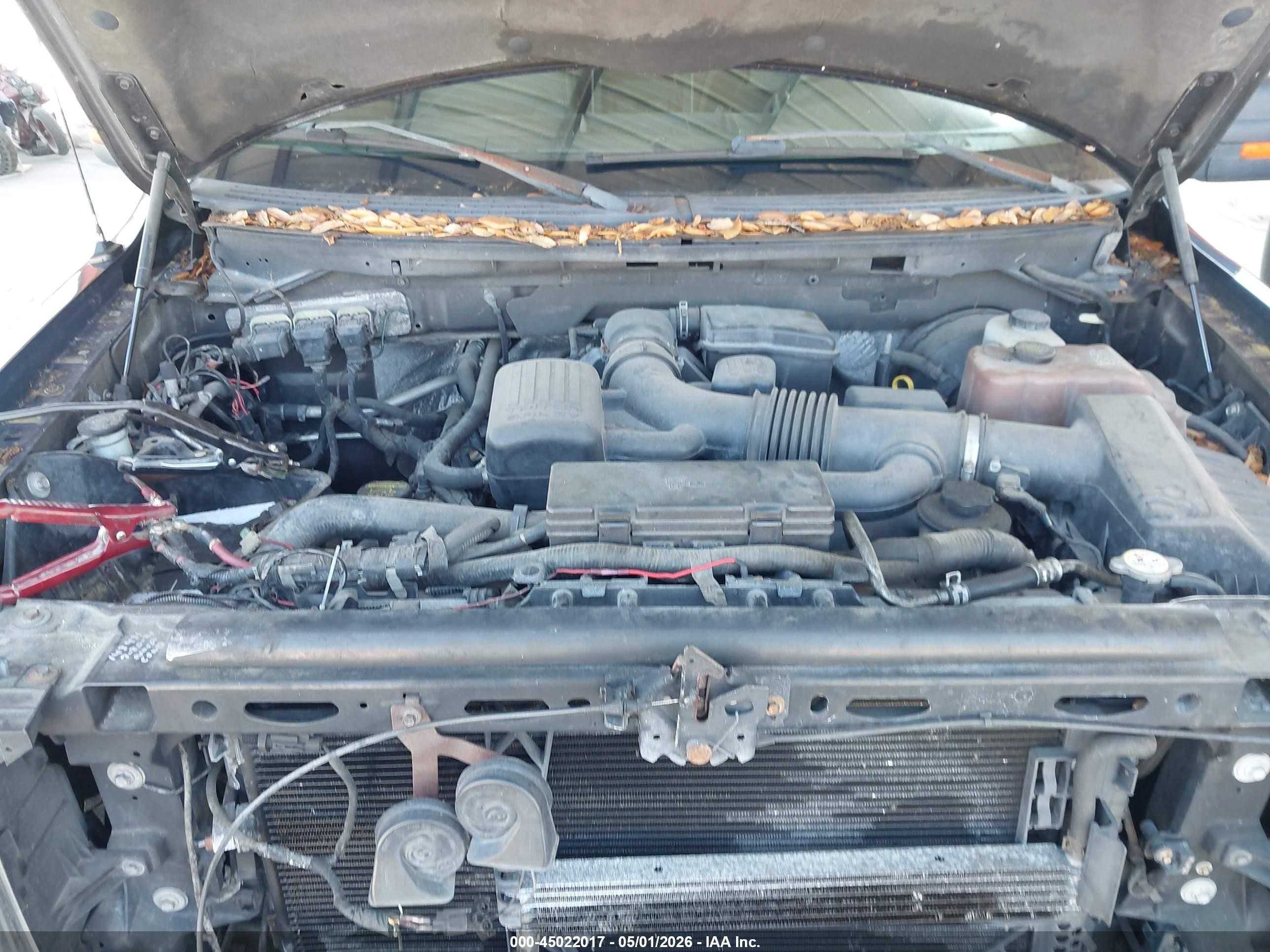 FORD F-150 image 10