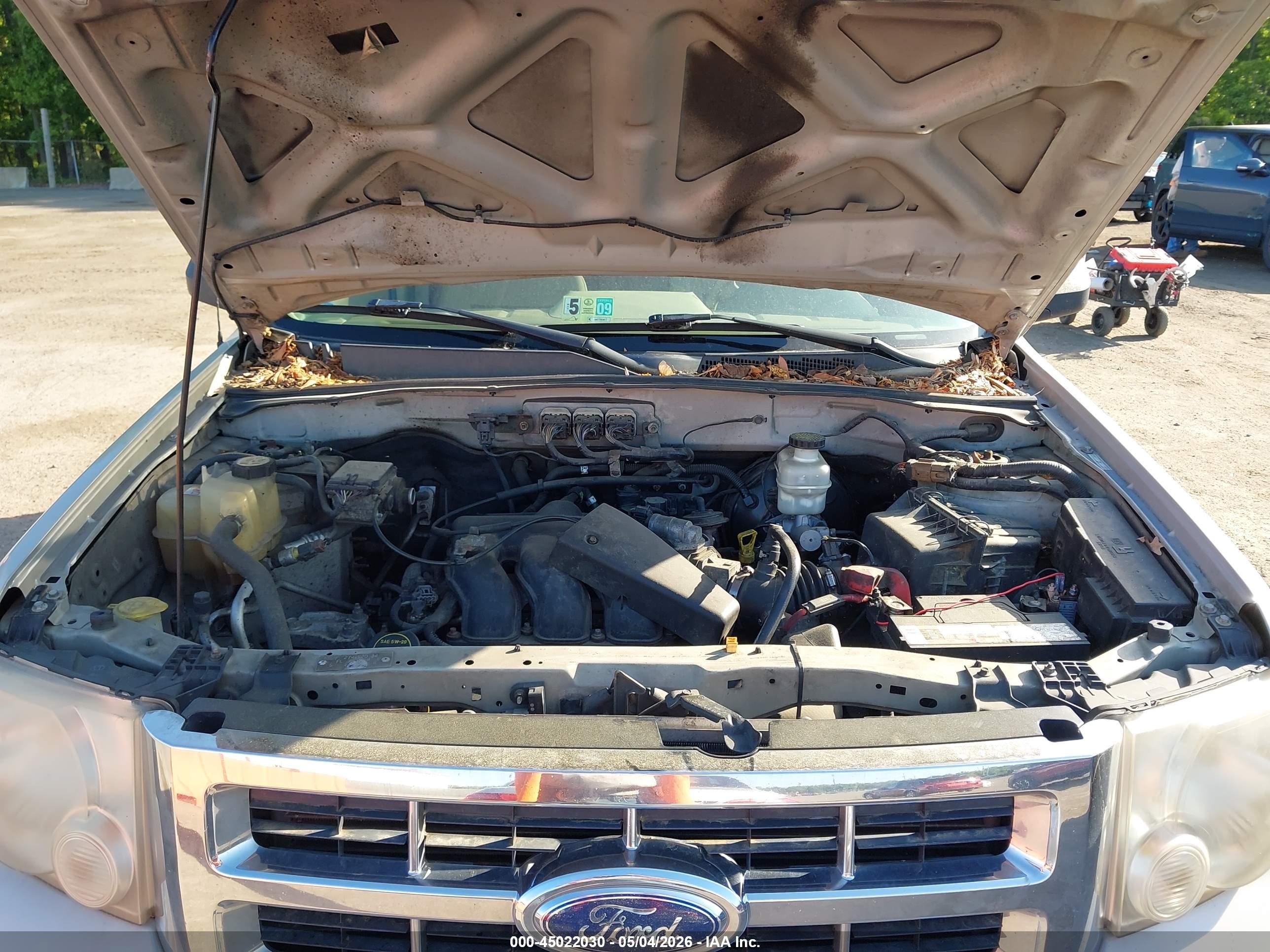 FORD ESCAPE image 10