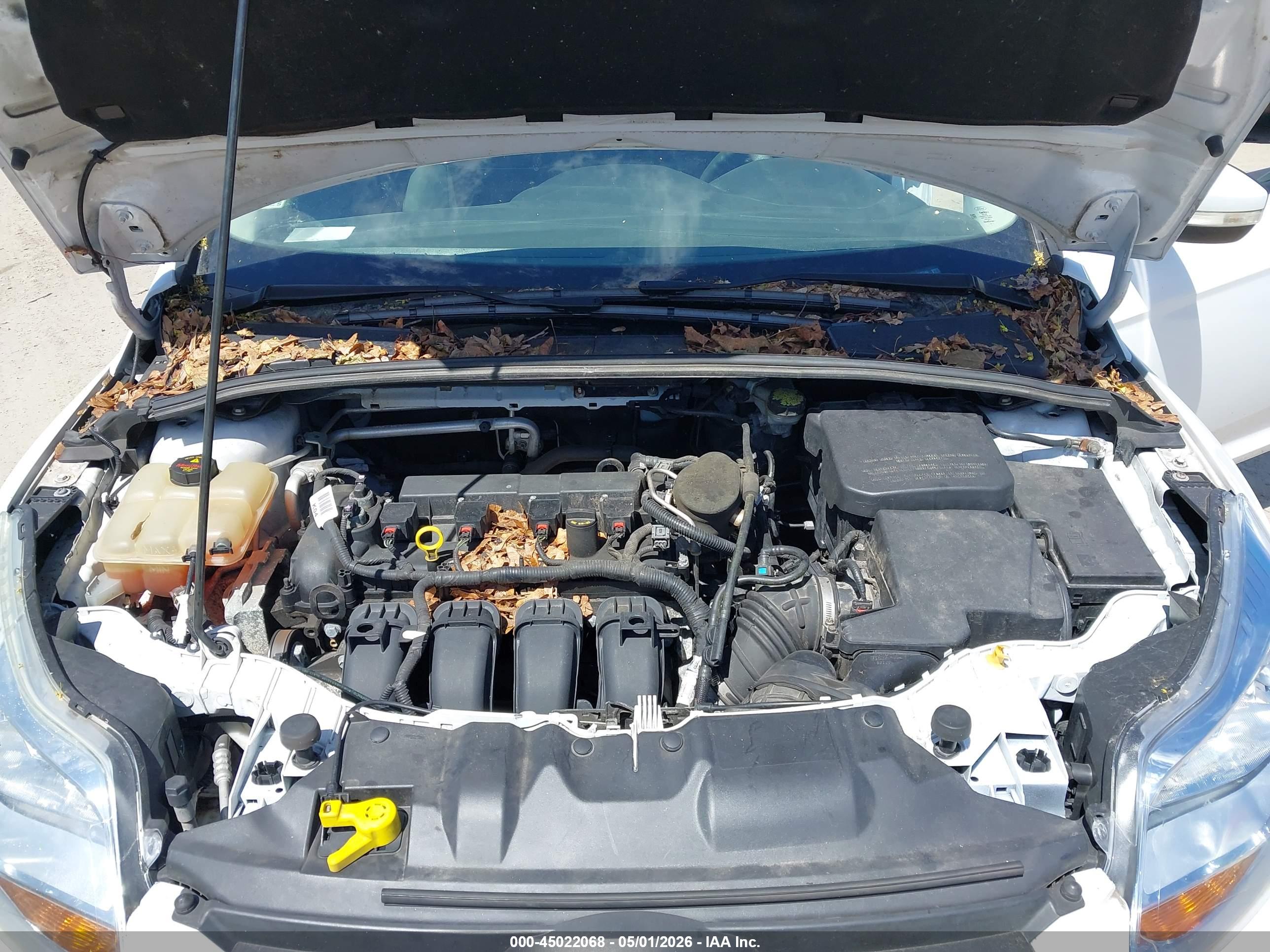 FORD FOCUS image 10