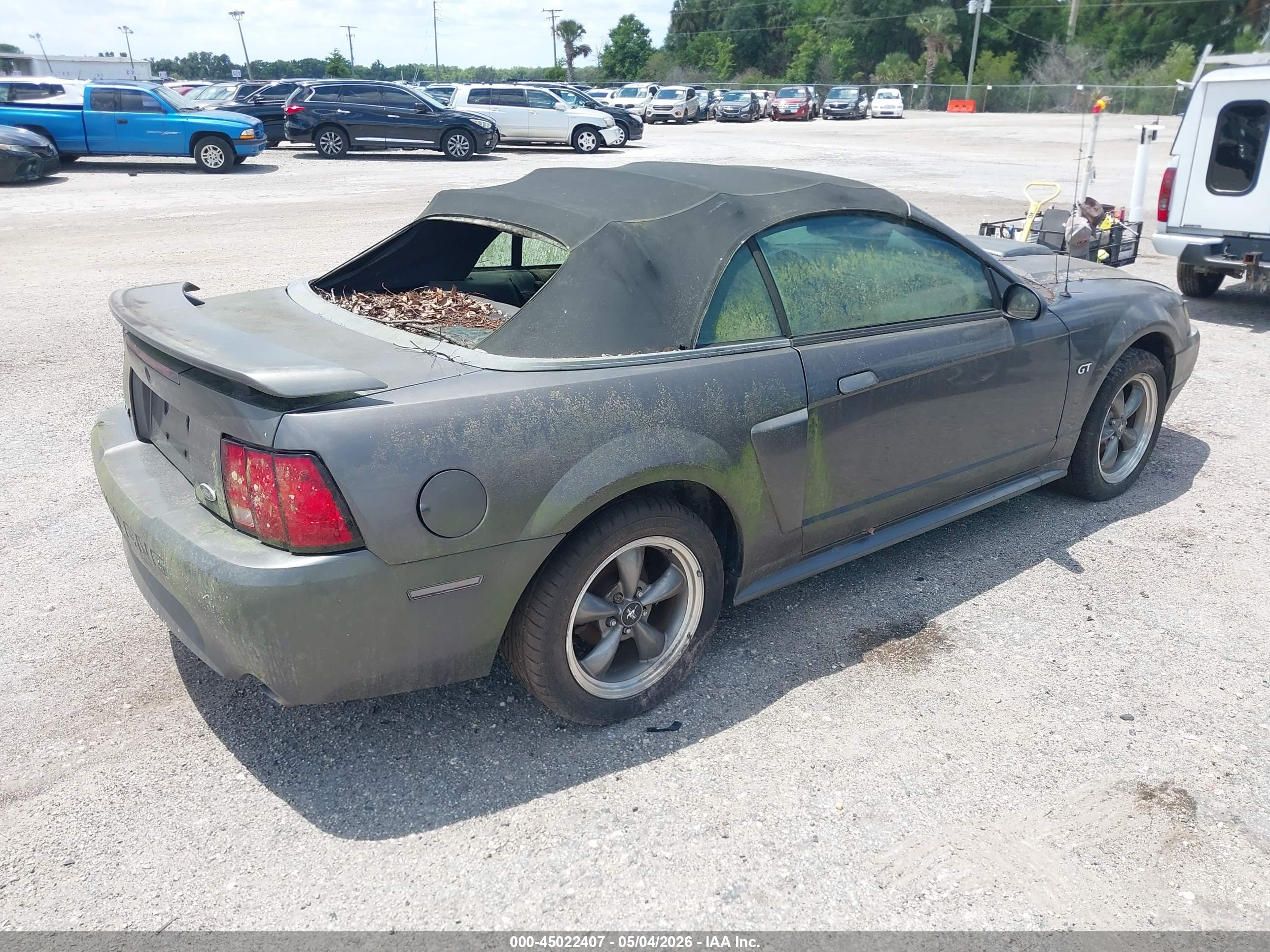 FORD MUSTANG image 4