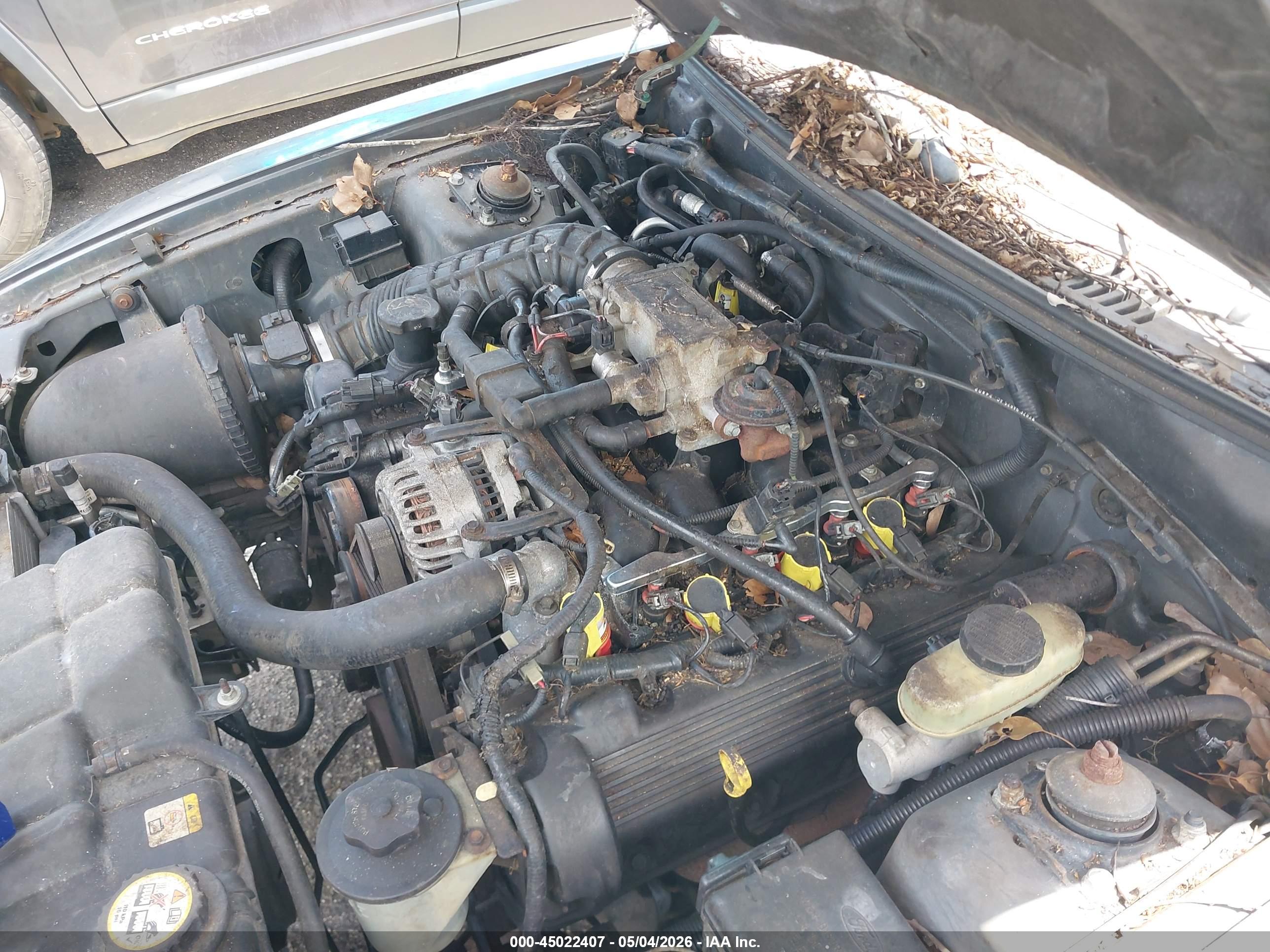 FORD MUSTANG image 6