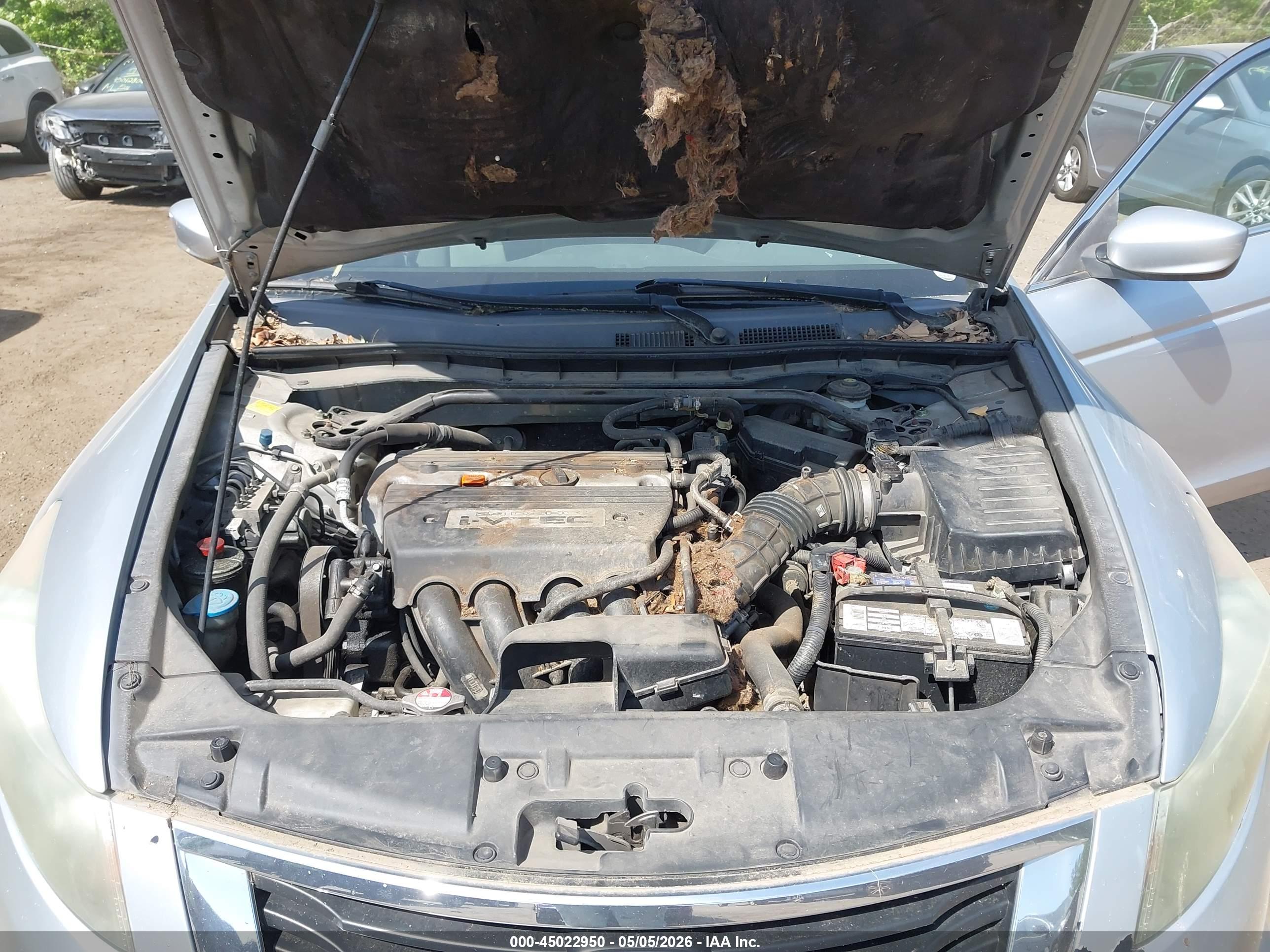 HONDA ACCORD image 10