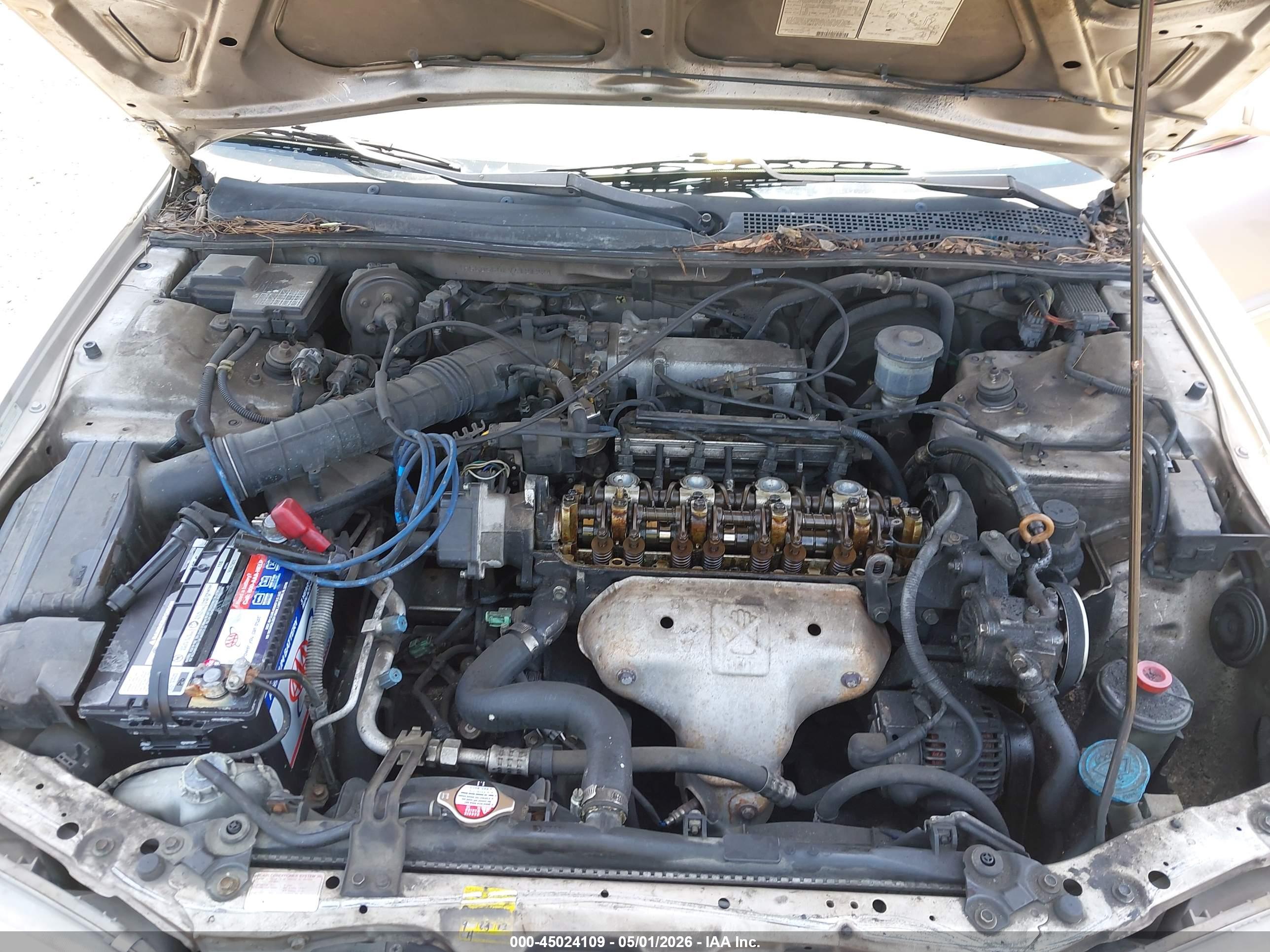 HONDA ACCORD image 10