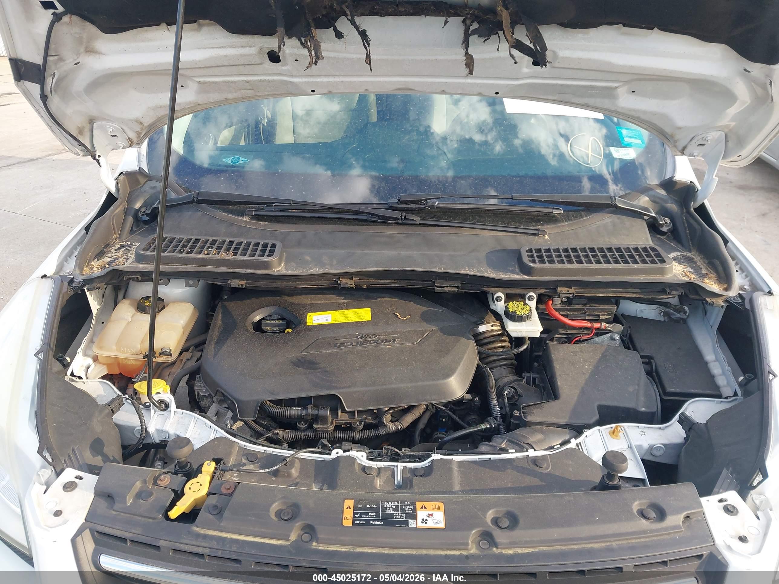 FORD ESCAPE image 10