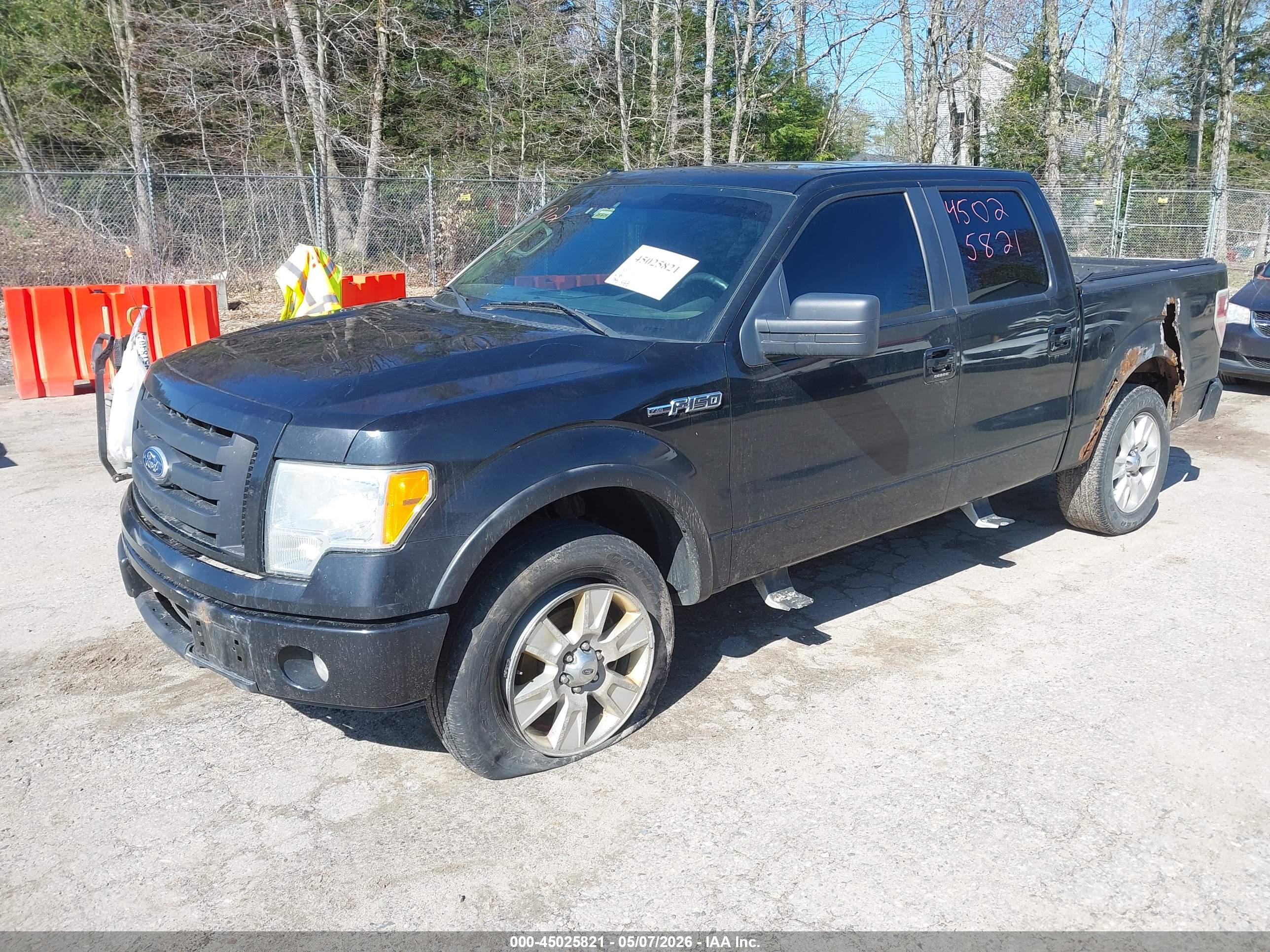 FORD F-150 image 2