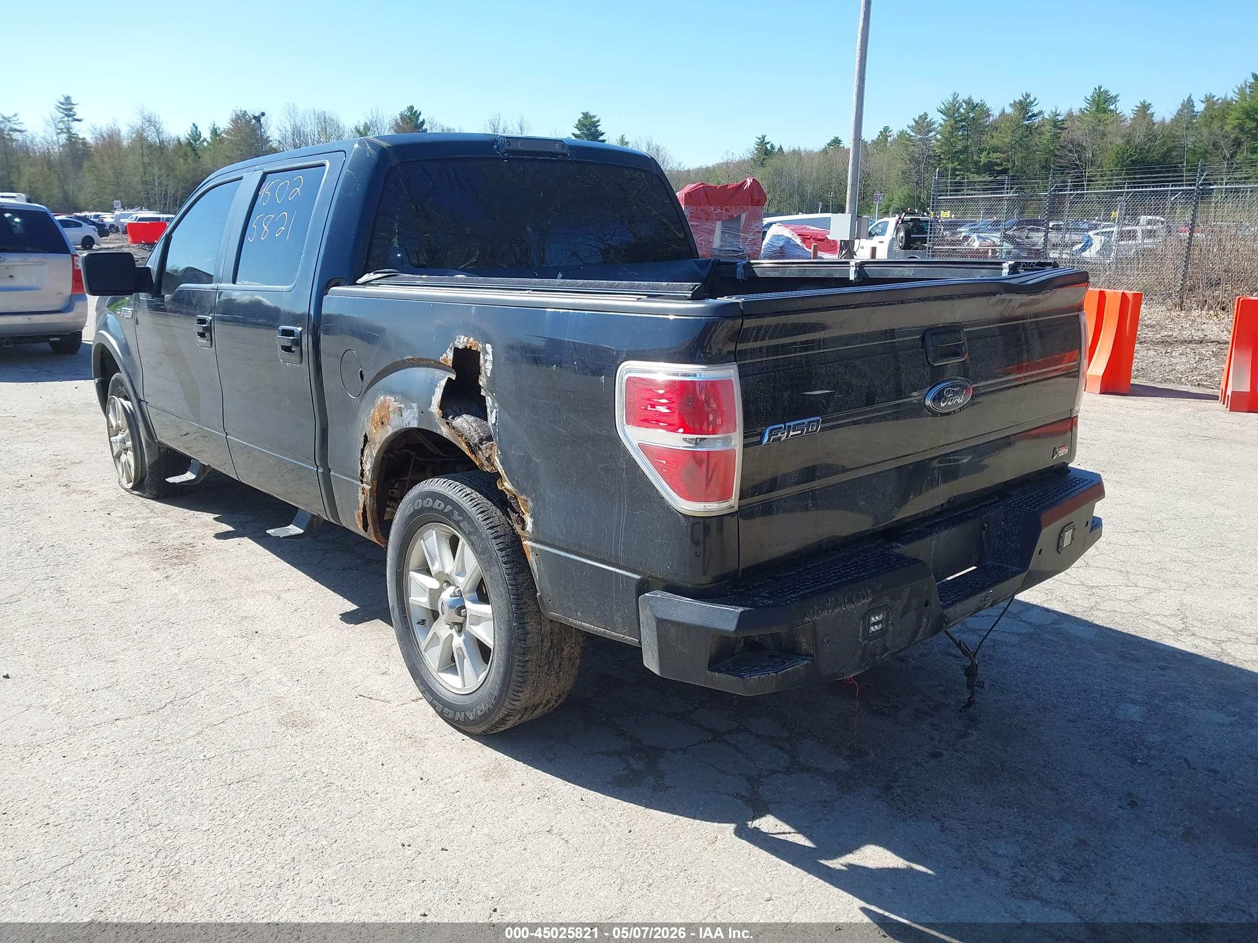 FORD F-150 image 3