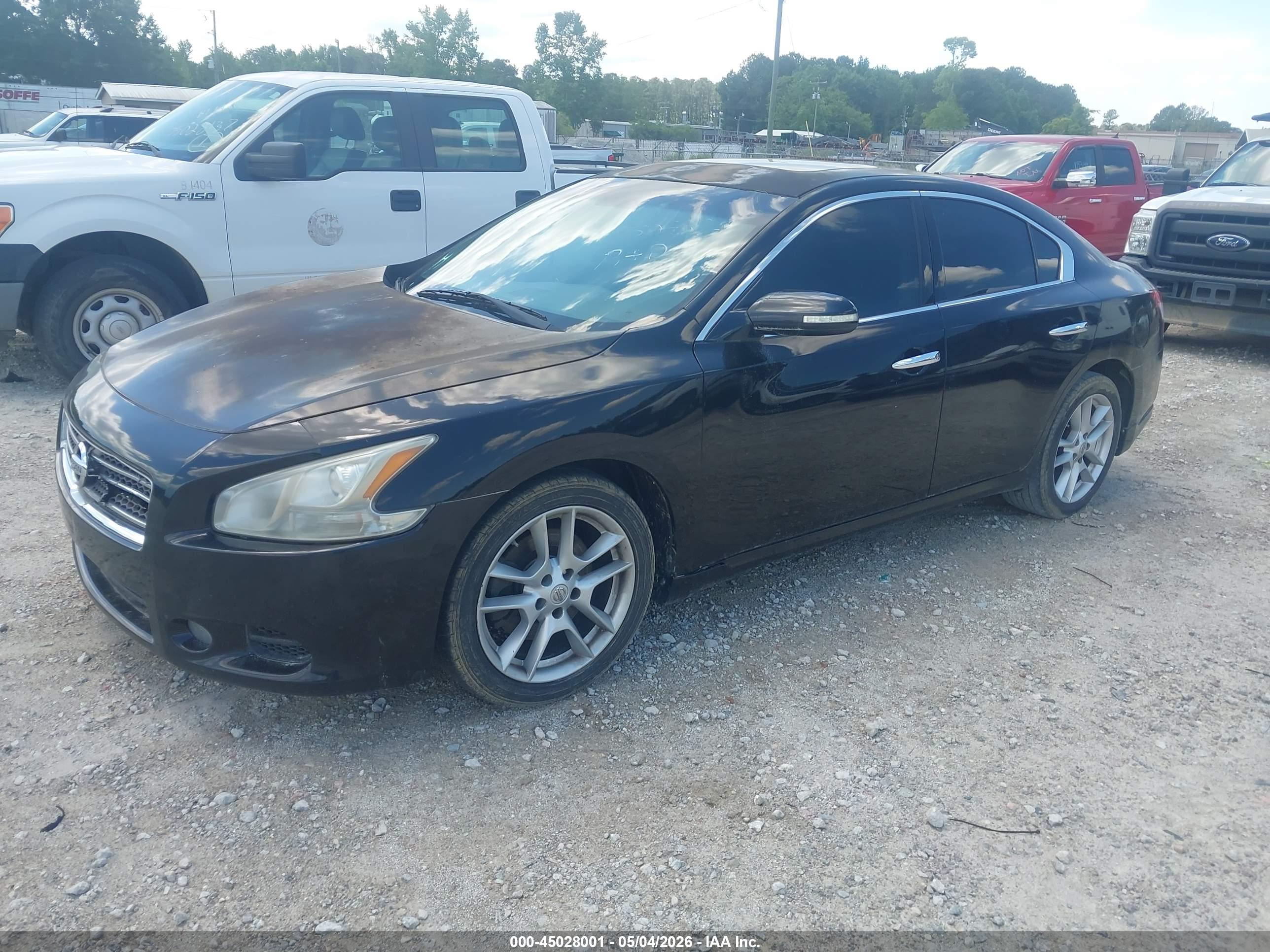 NISSAN MAXIMA image 2