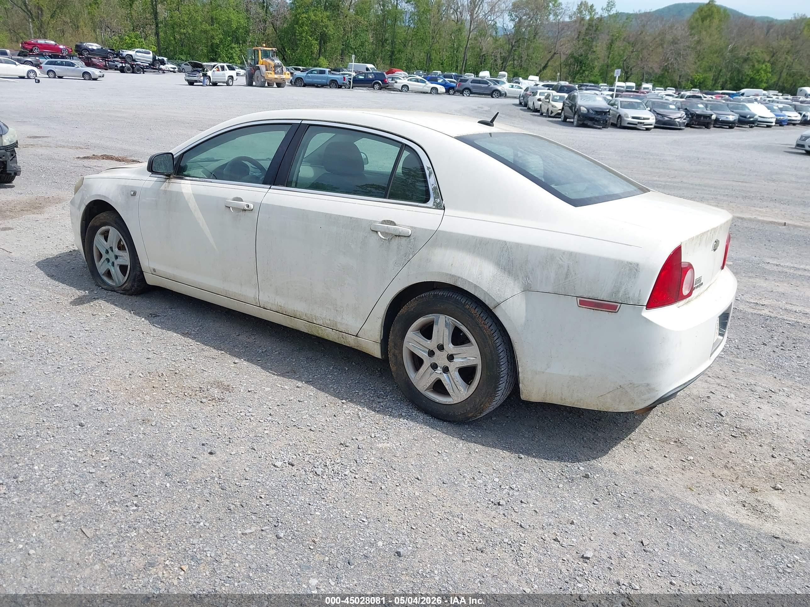 CHEVROLET MALIBU image 3