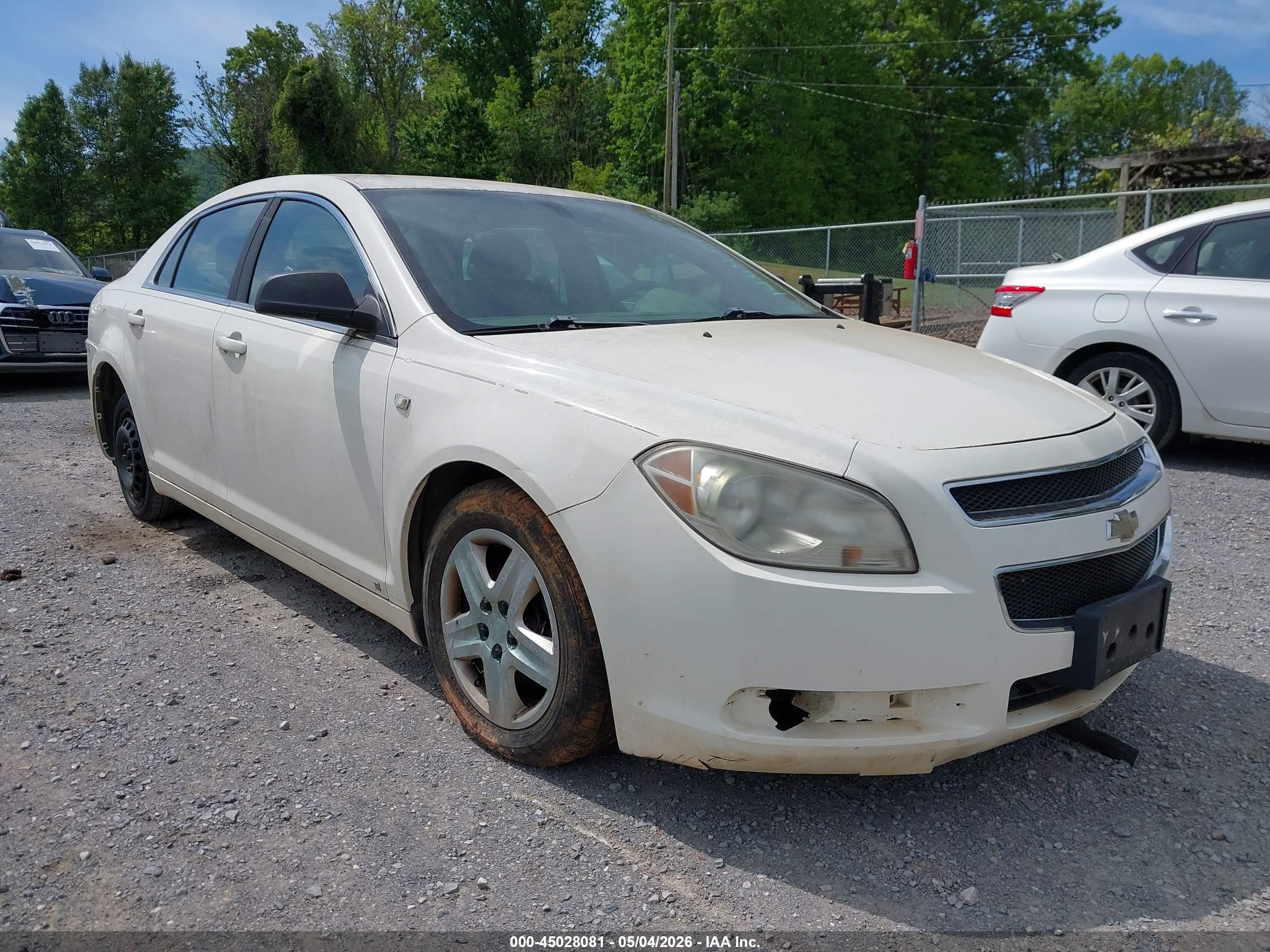 CHEVROLET MALIBU image 6
