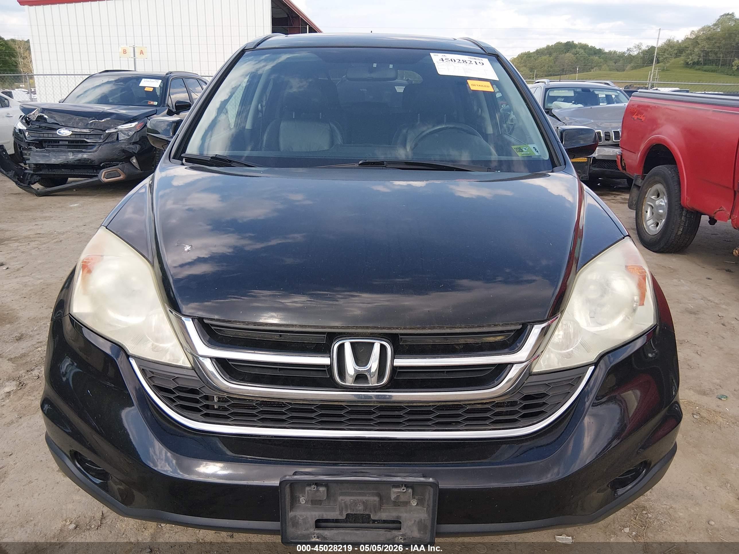 HONDA CR-V image 6