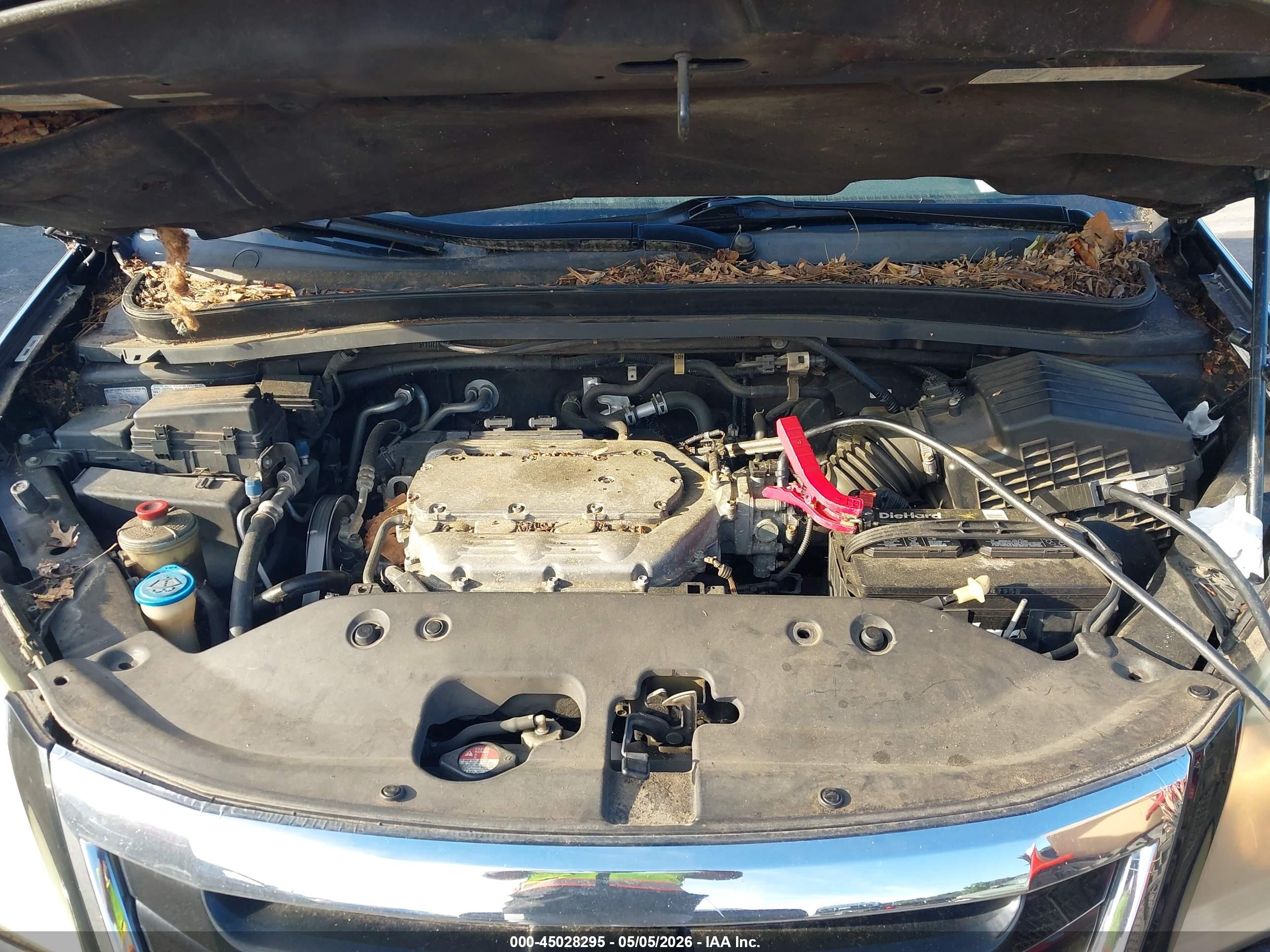 HONDA ODYSSEY image 10