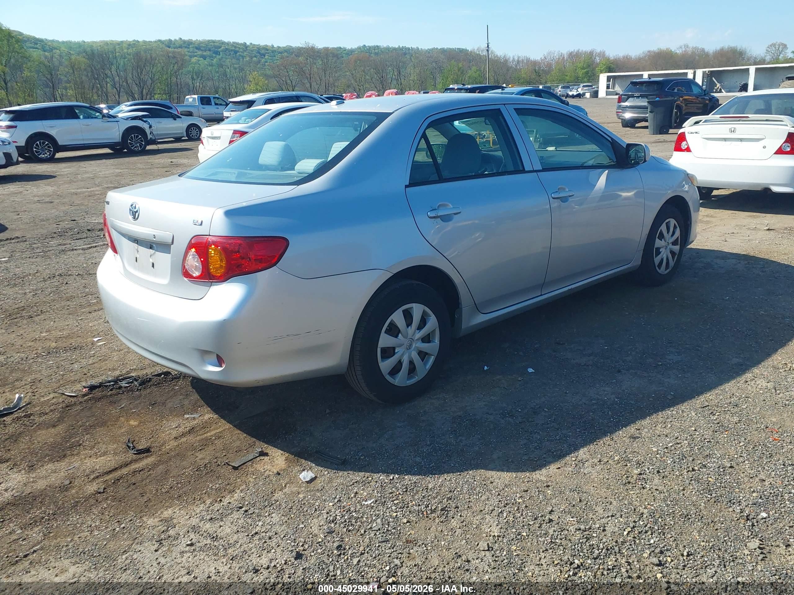 TOYOTA COROLLA image 4