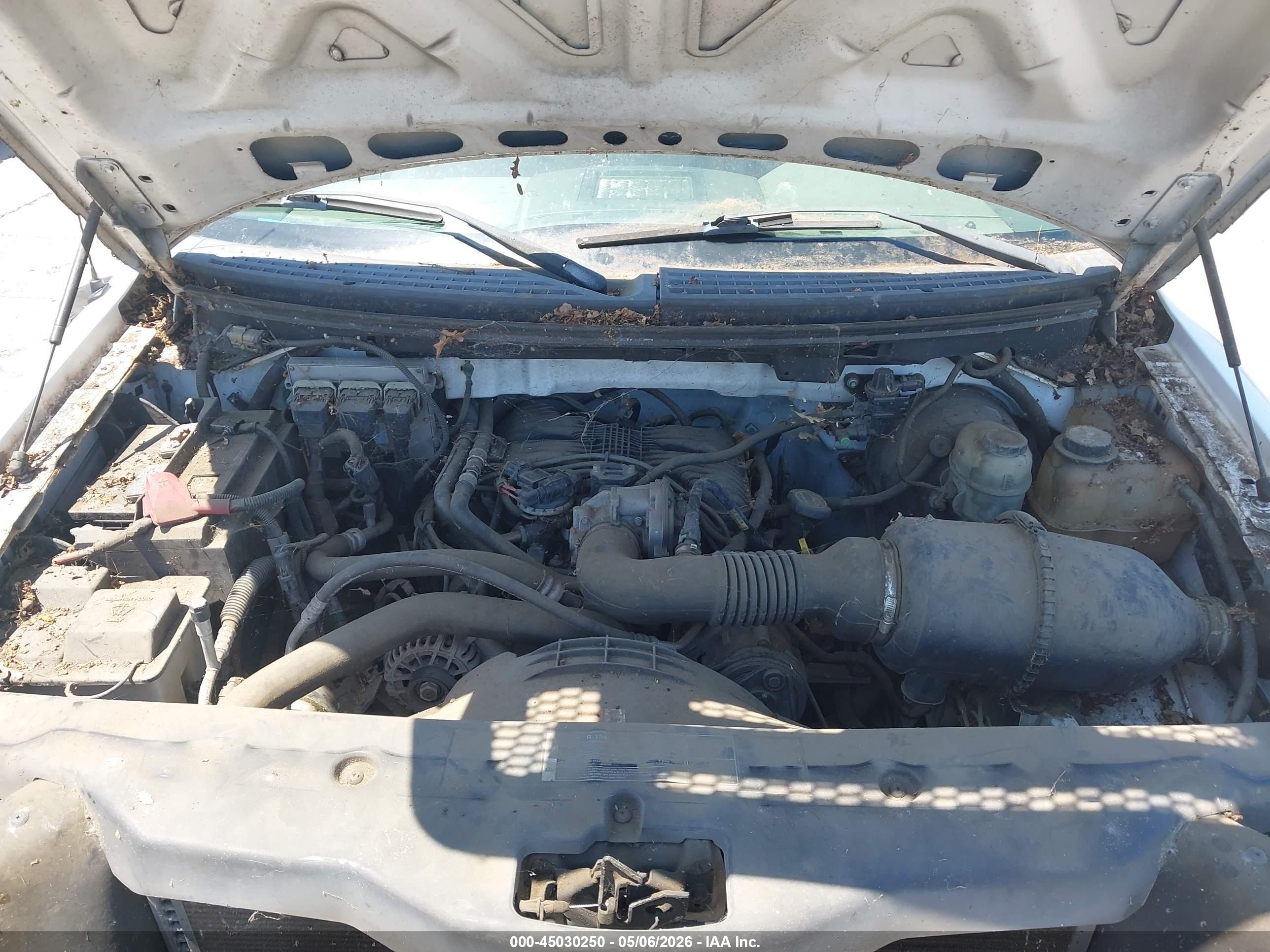FORD F-150 image 10