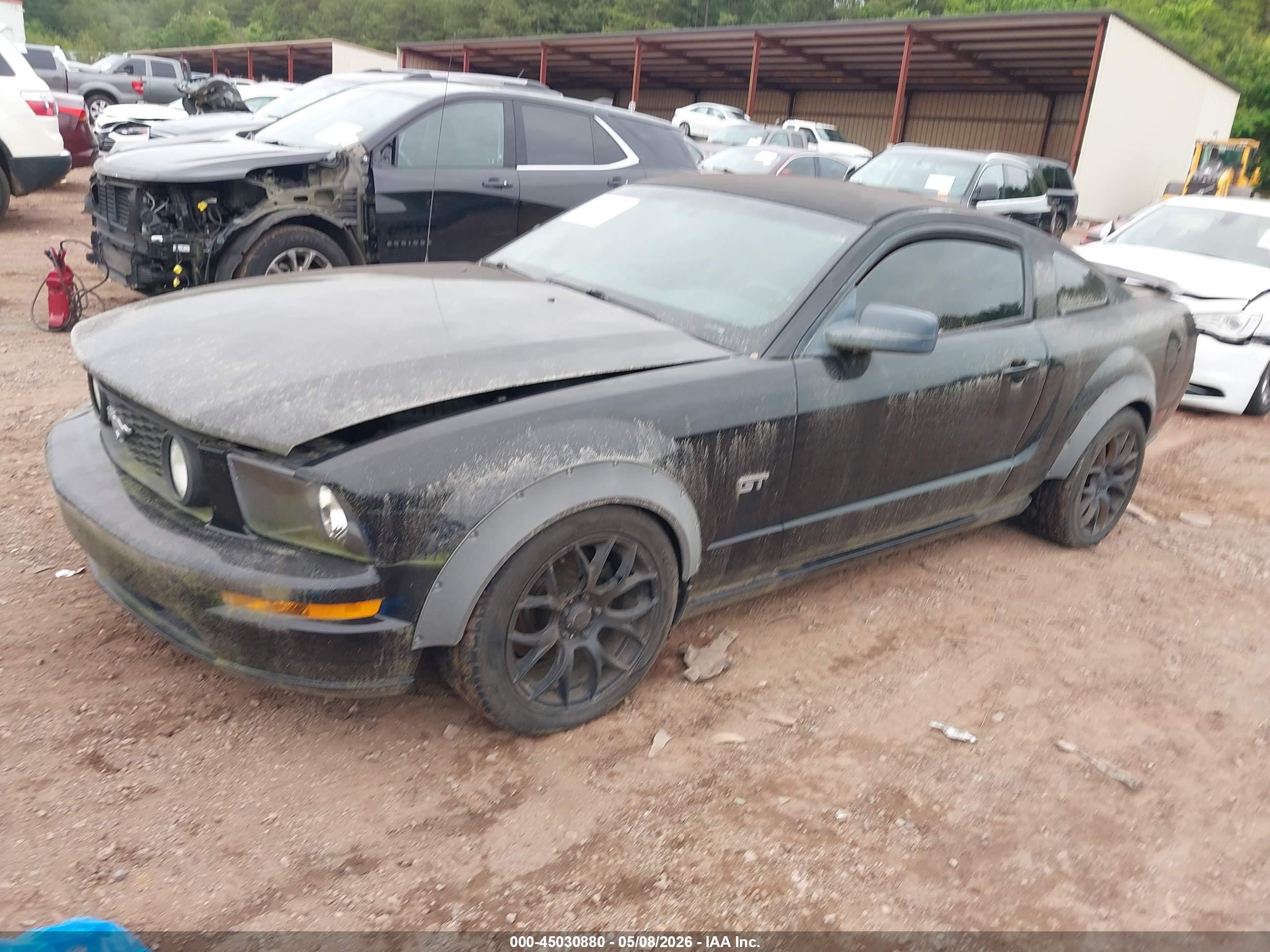 FORD MUSTANG image 2