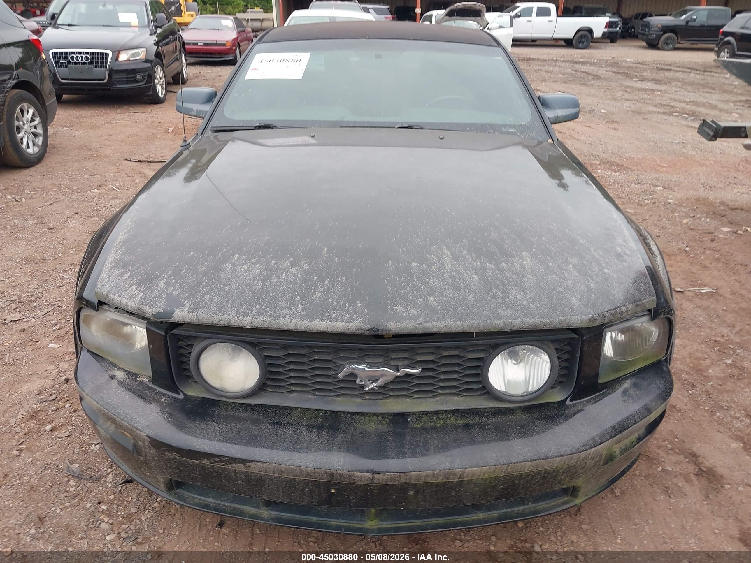 FORD MUSTANG image 6