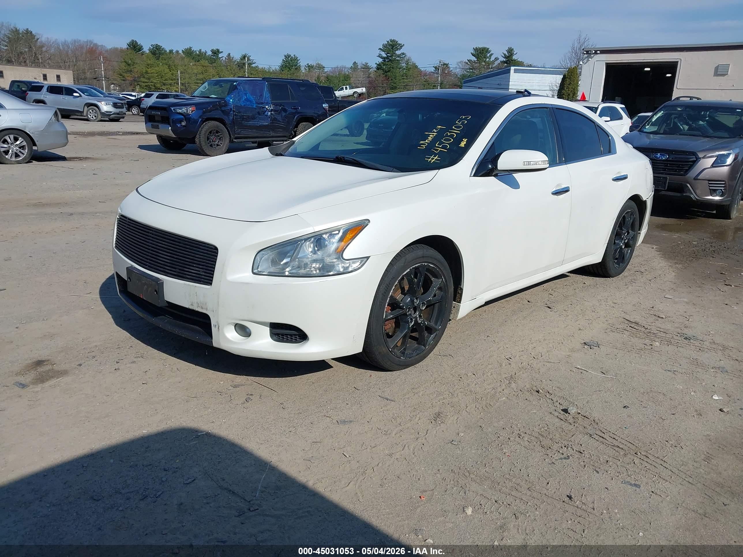 NISSAN MAXIMA image 2