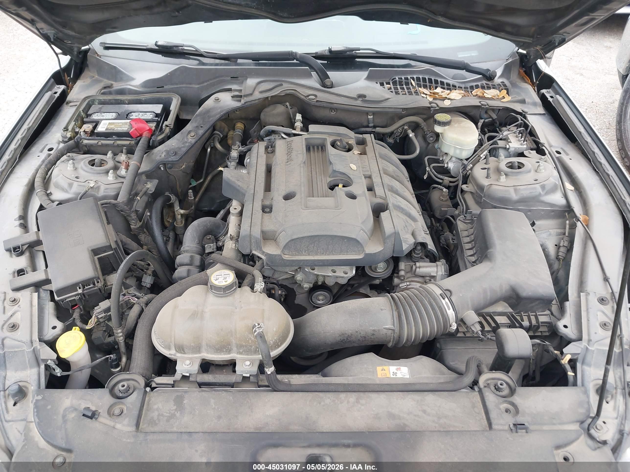 FORD MUSTANG image 10