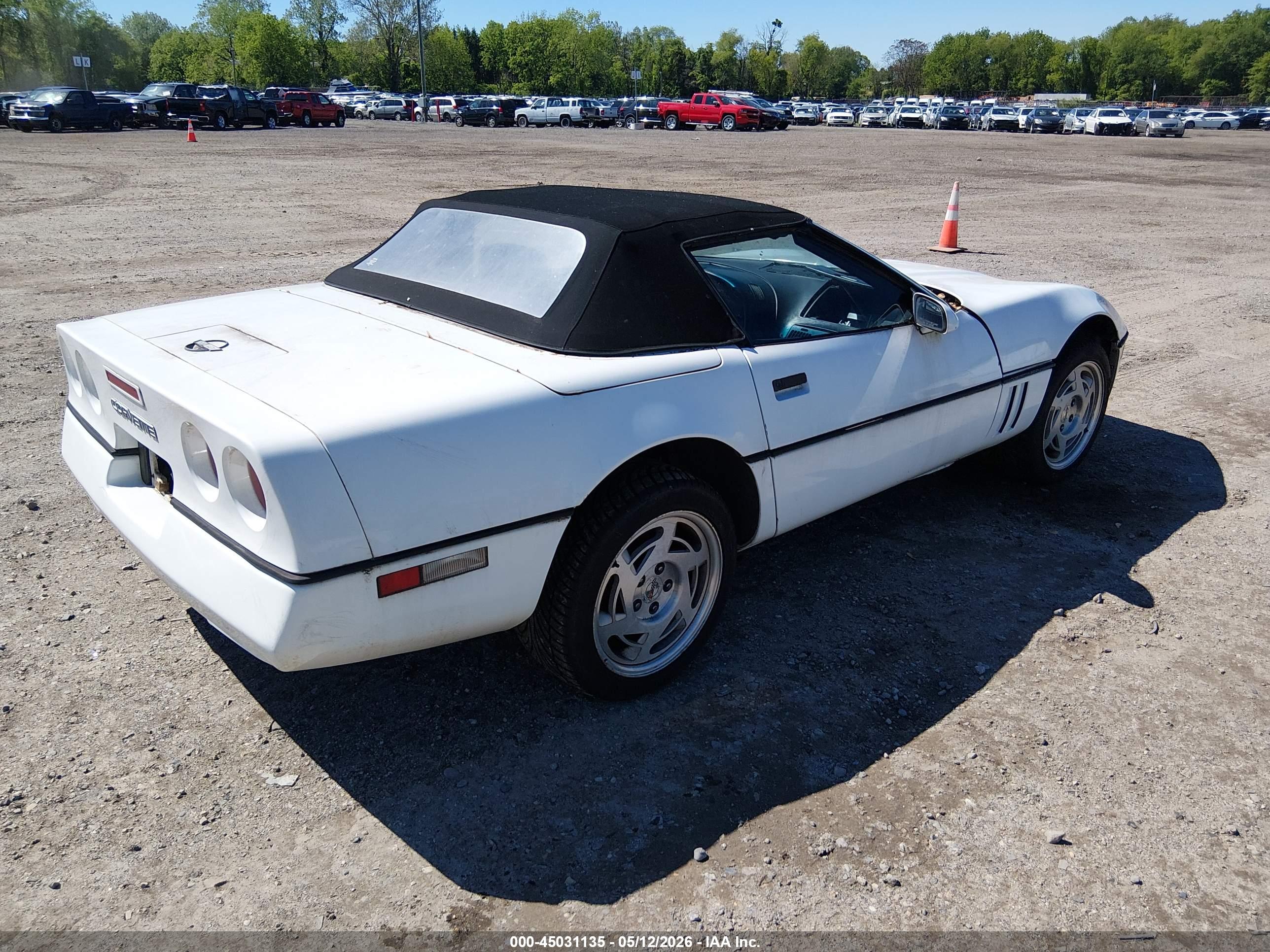 CHEVROLET CORVETTE image 4