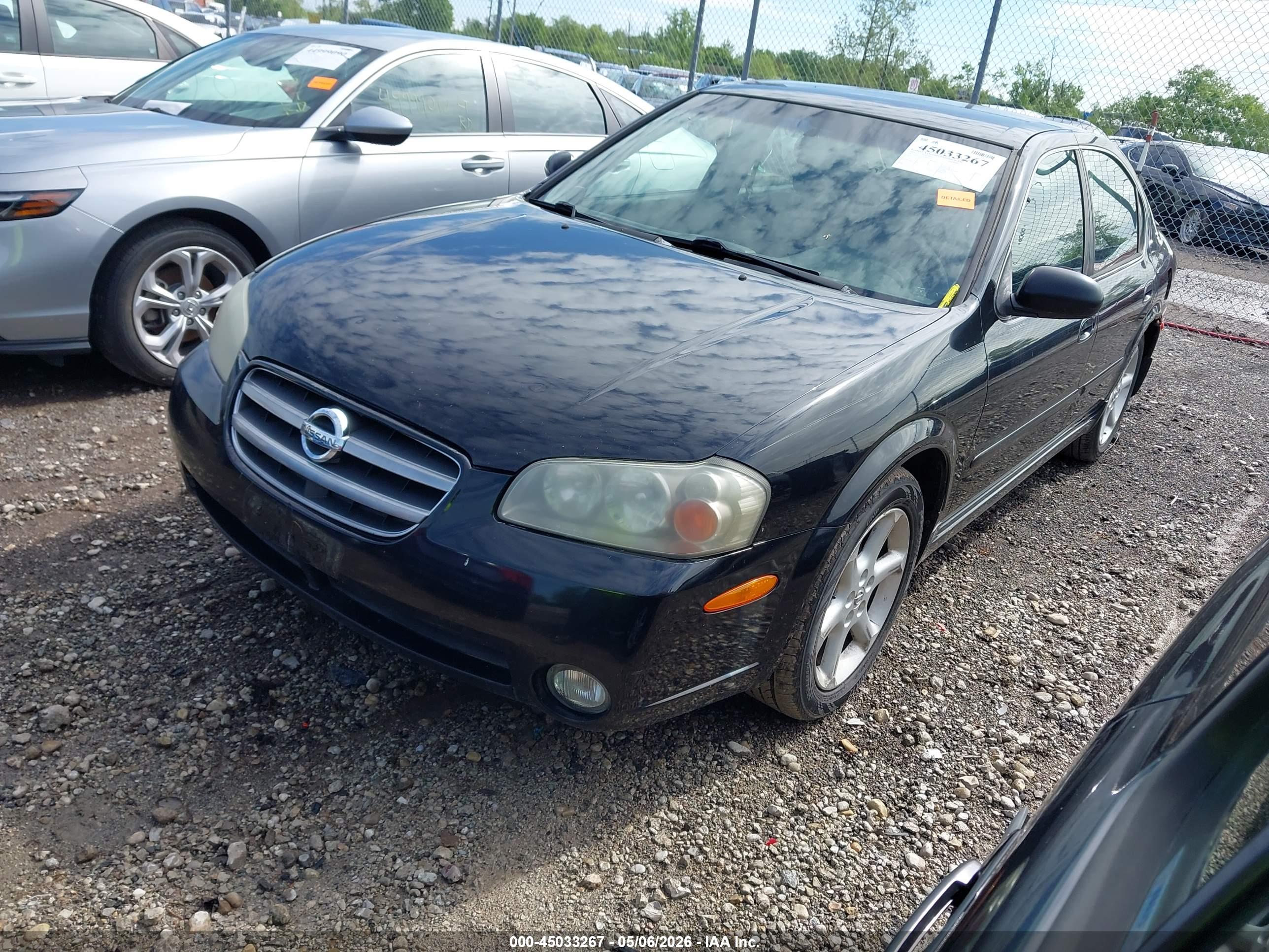 NISSAN MAXIMA image 2