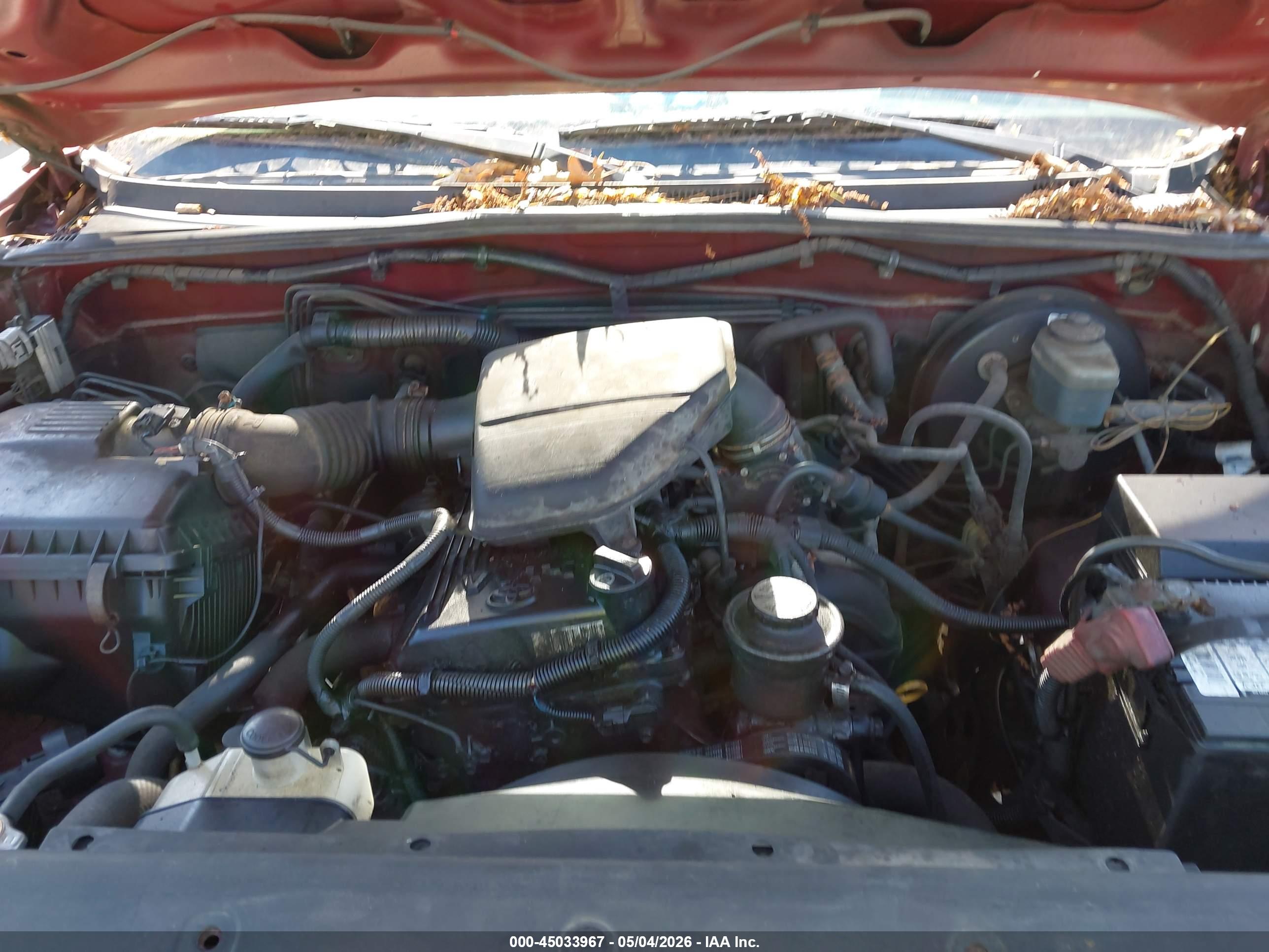 TOYOTA TACOMA image 10