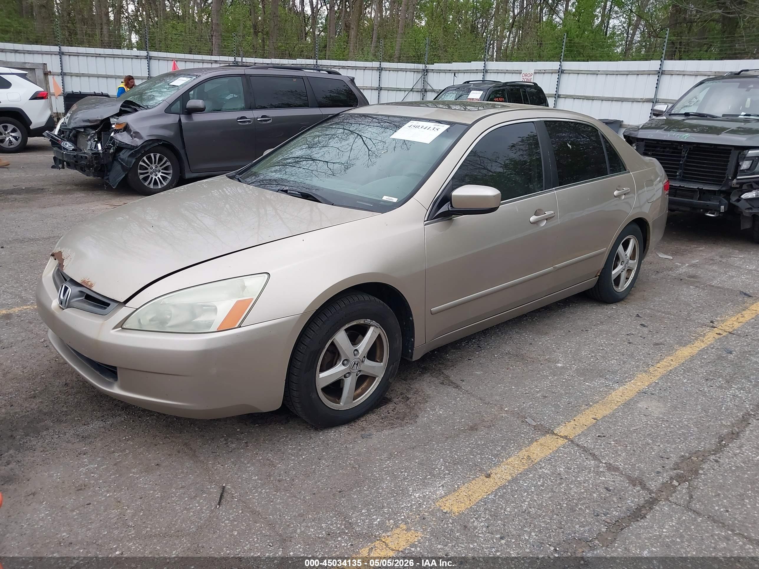 HONDA ACCORD image 2