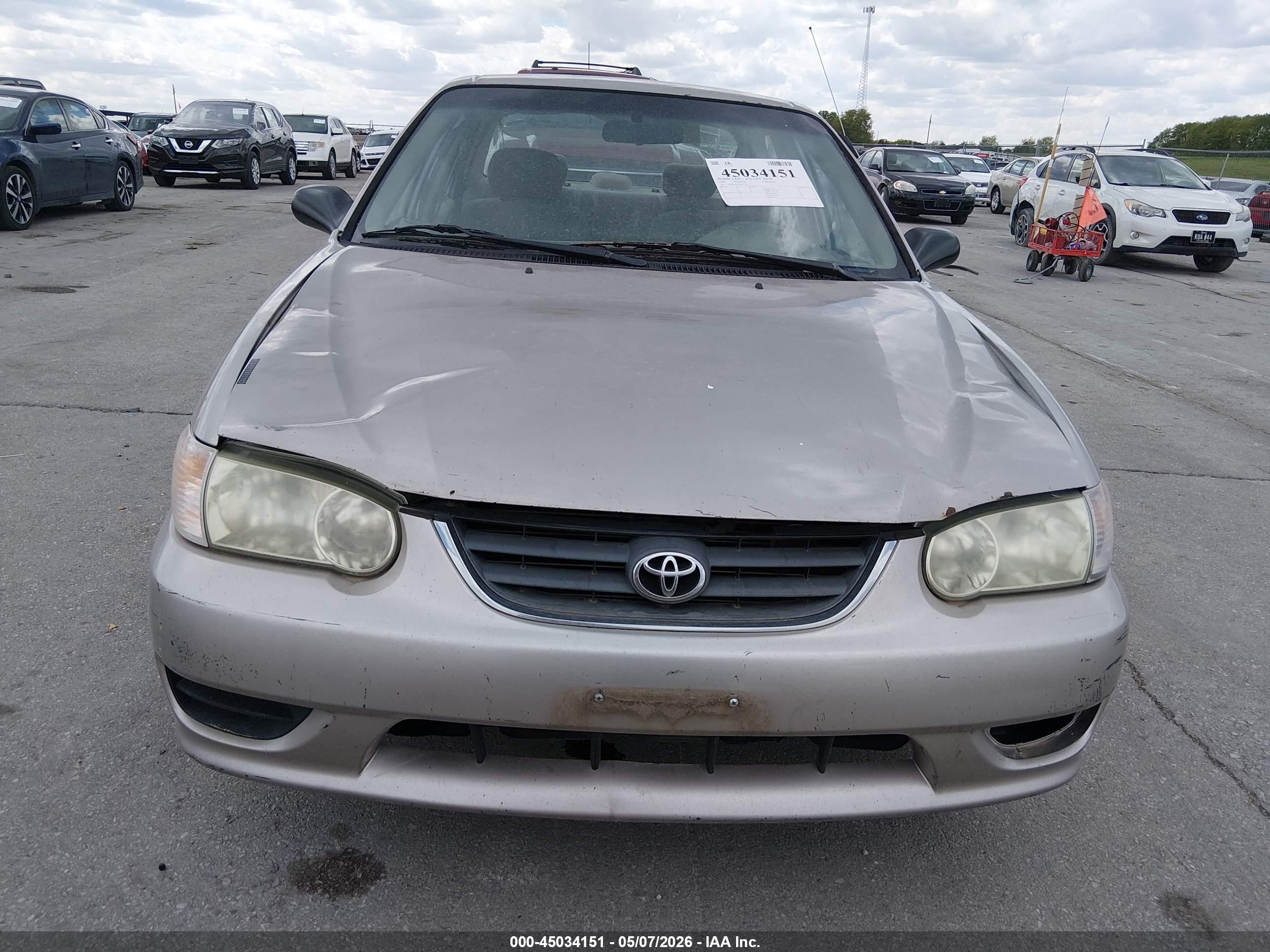 TOYOTA COROLLA image 6