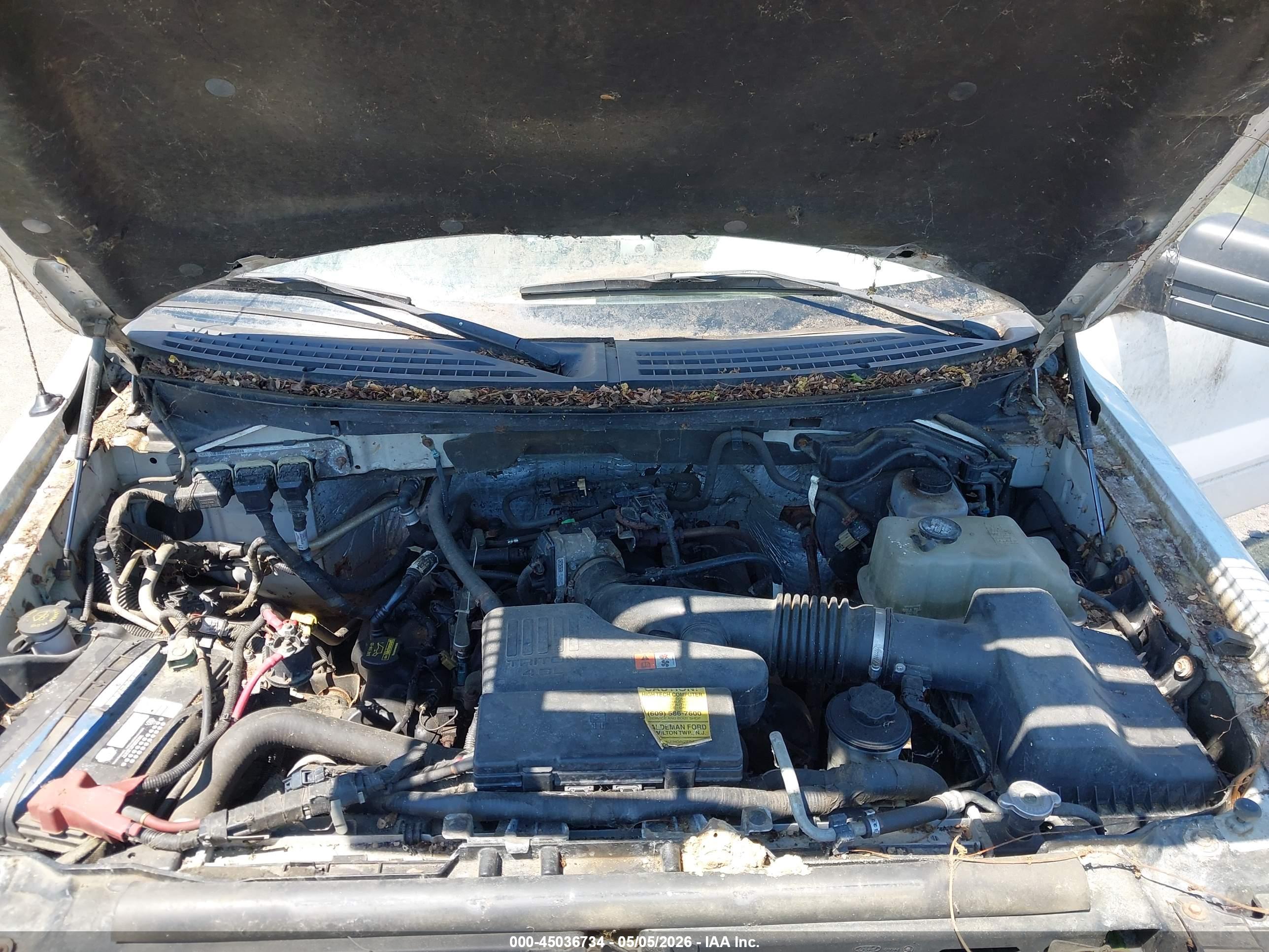 FORD F-150 image 10