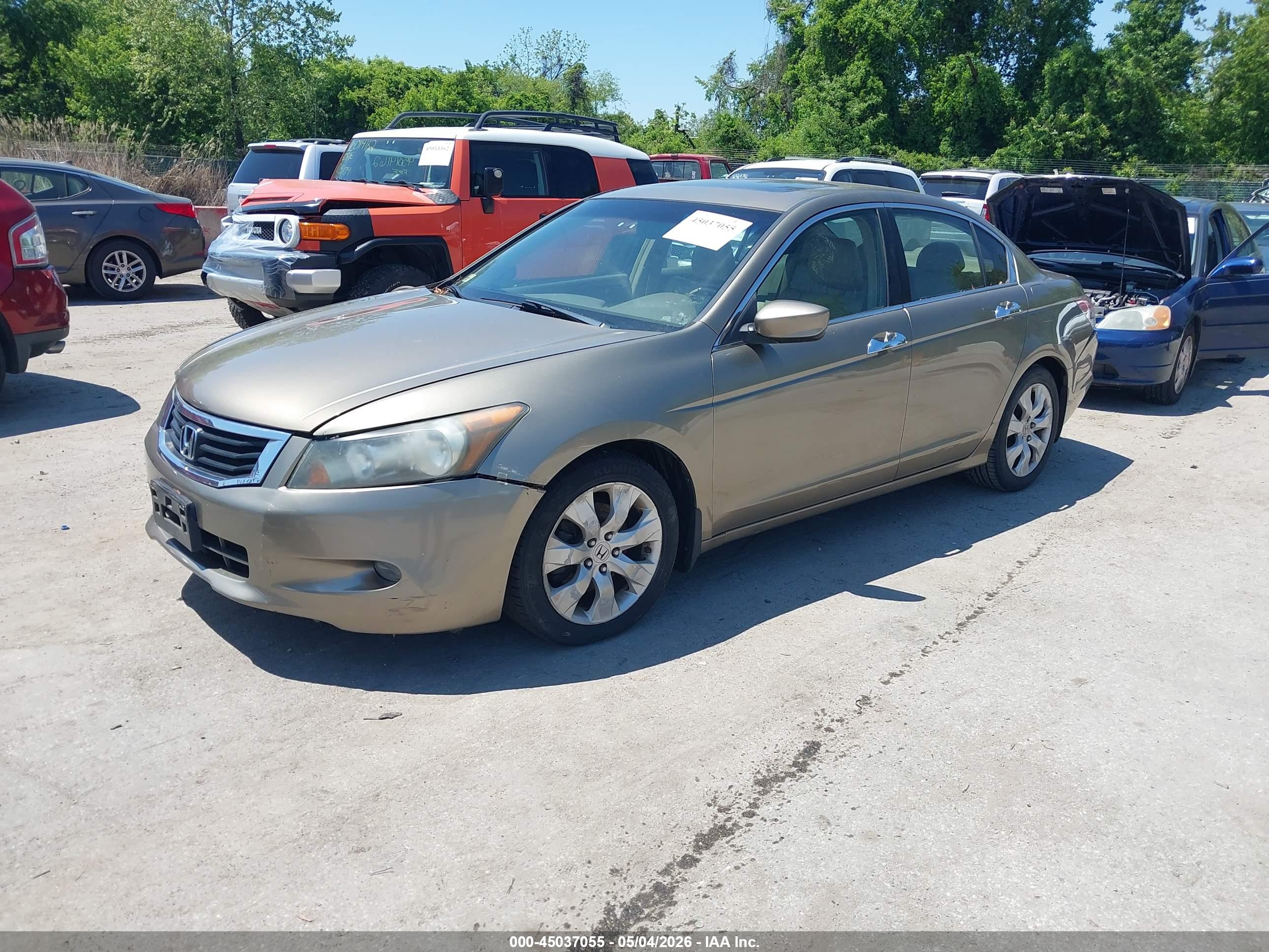 HONDA ACCORD image 2