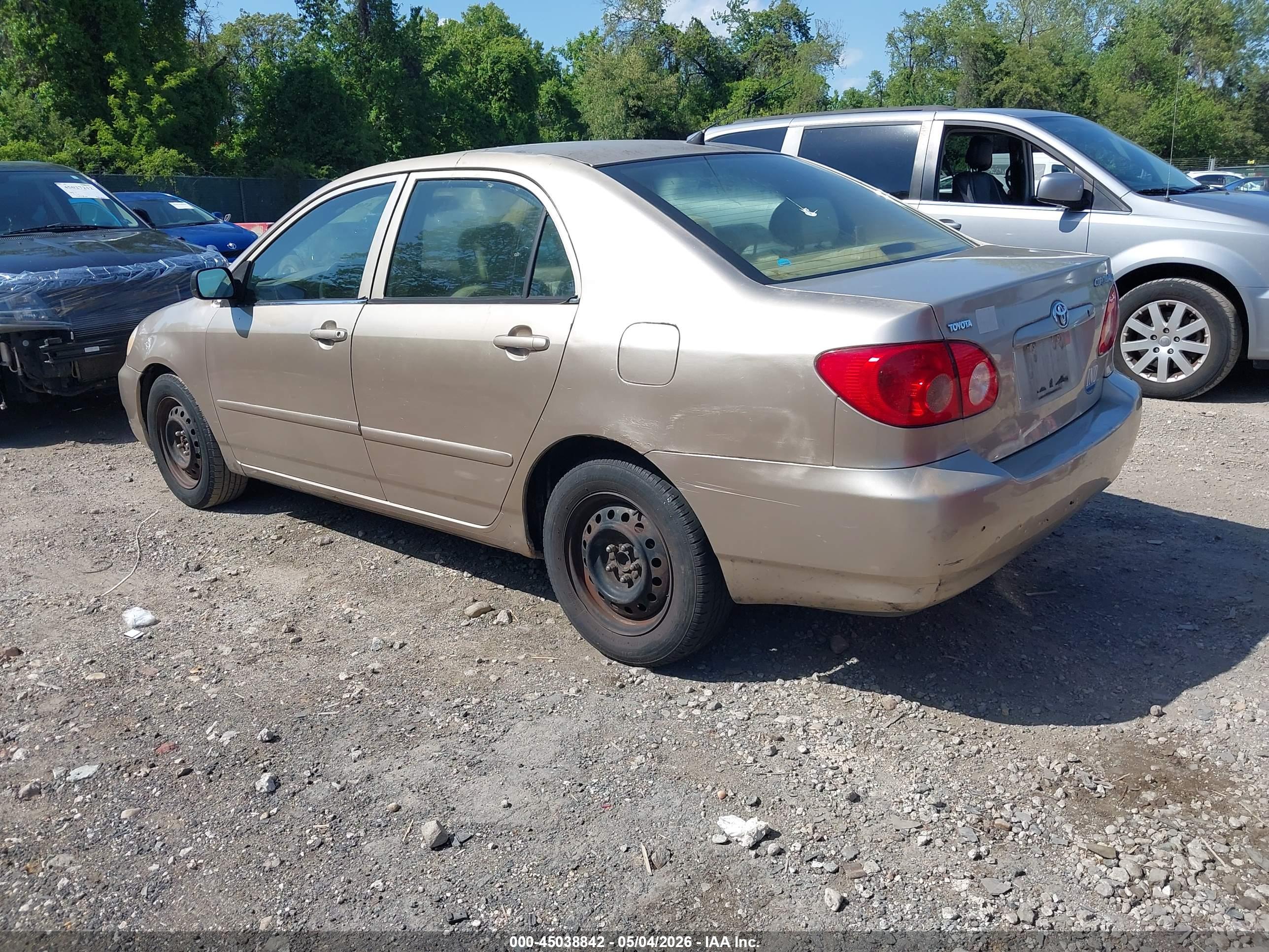 TOYOTA COROLLA image 3