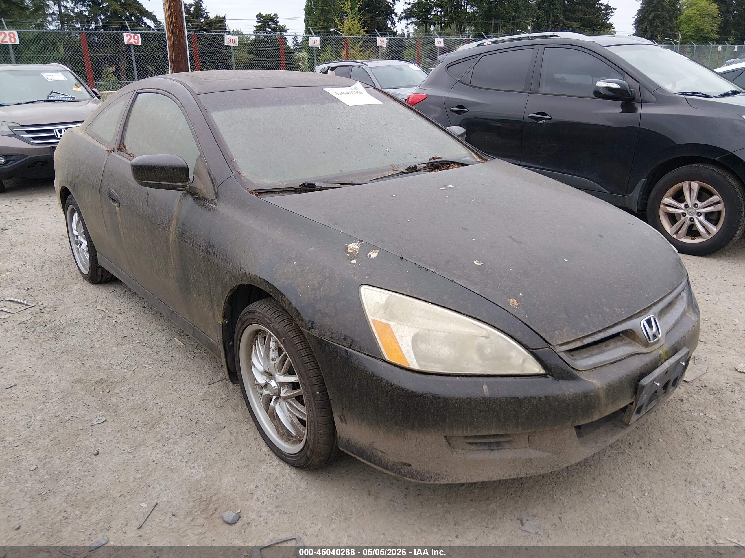 HONDA ACCORD image 6