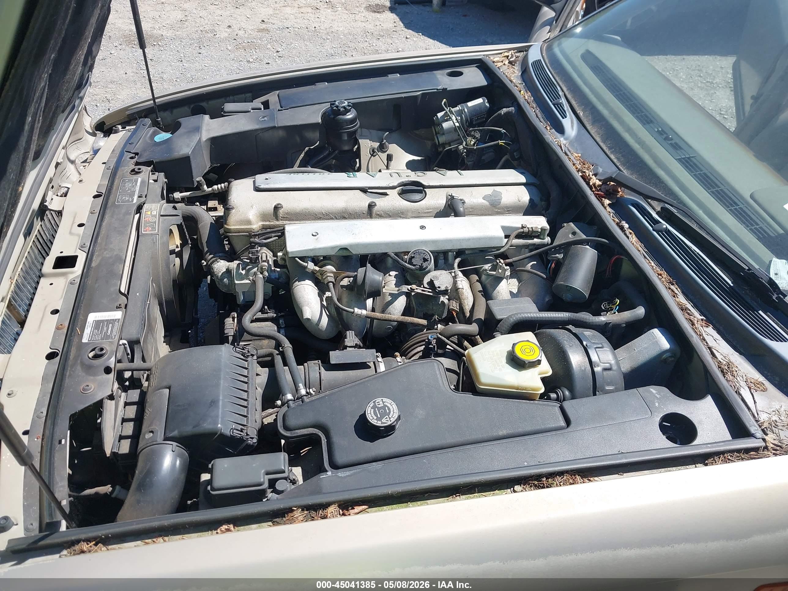JAGUAR VANDENPLAS image 10