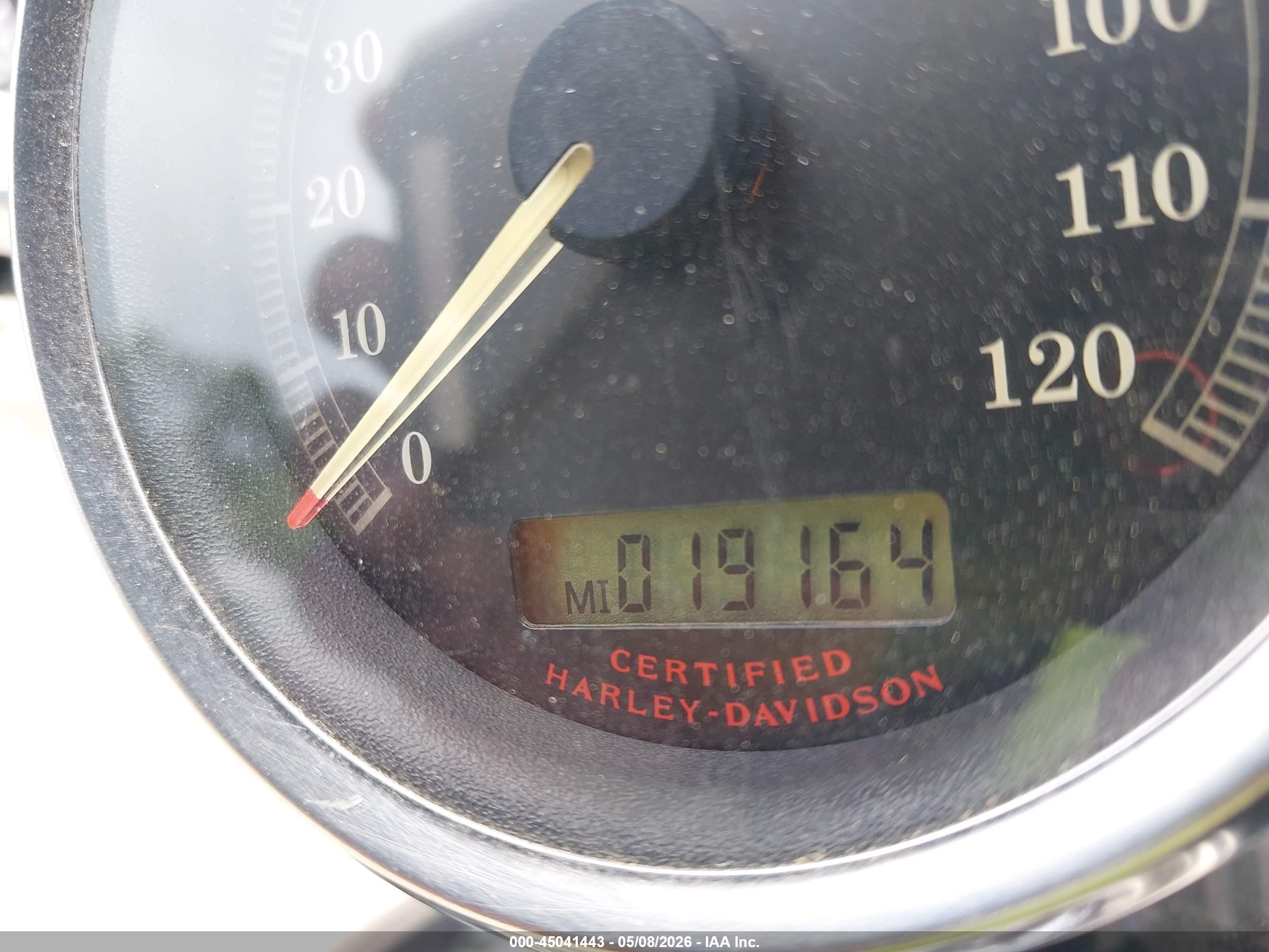 HARLEY-DAVIDSON XL1200 image 7