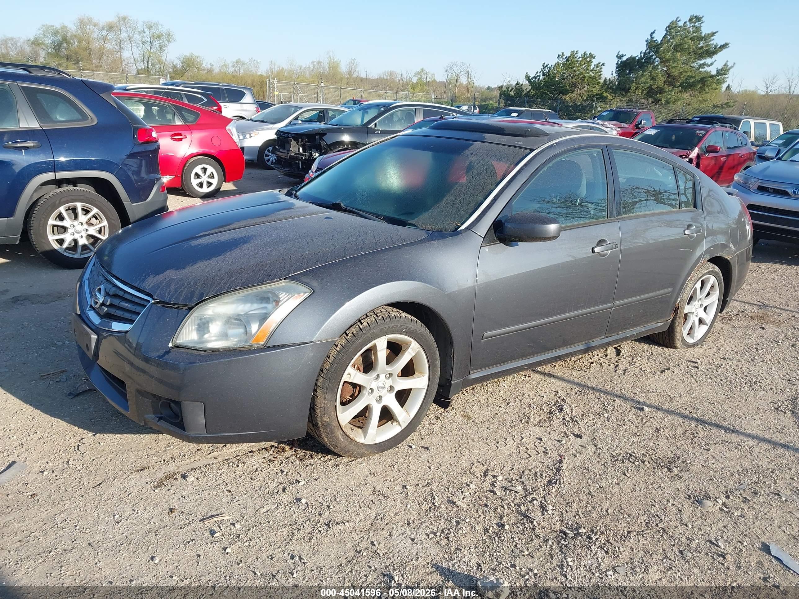NISSAN MAXIMA image 2