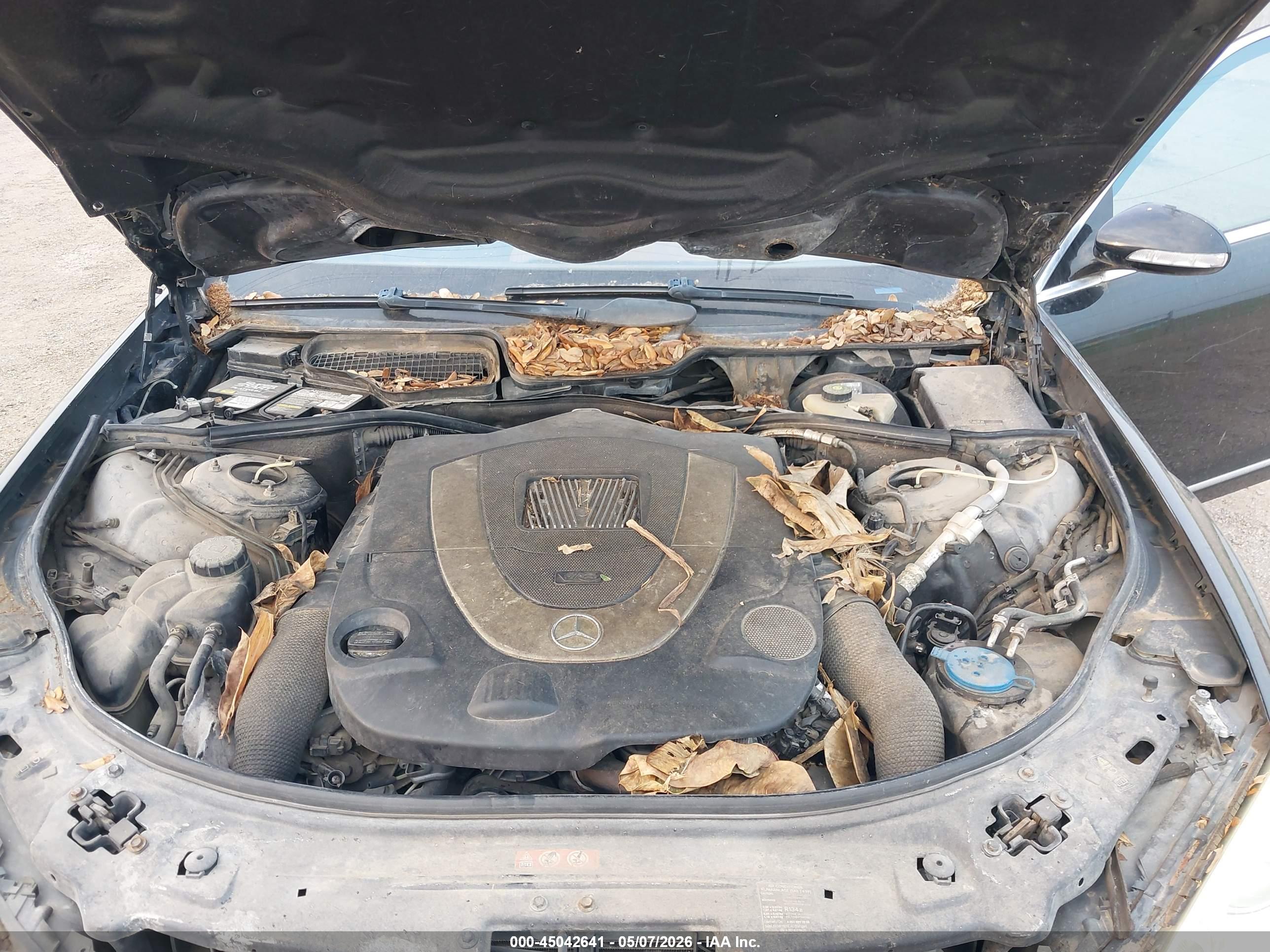 MERCEDES-BENZ S image 10