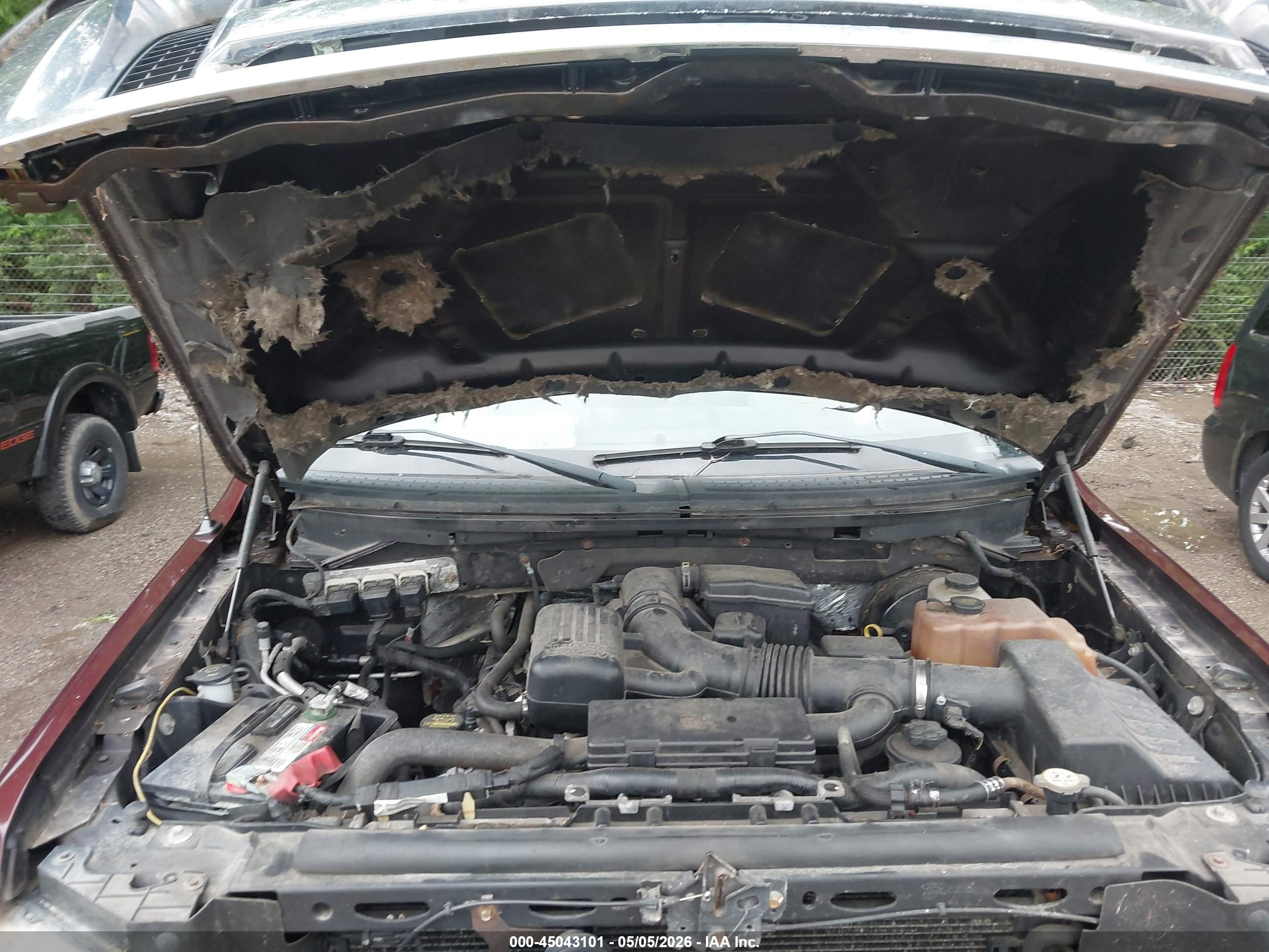 FORD F-150 image 10