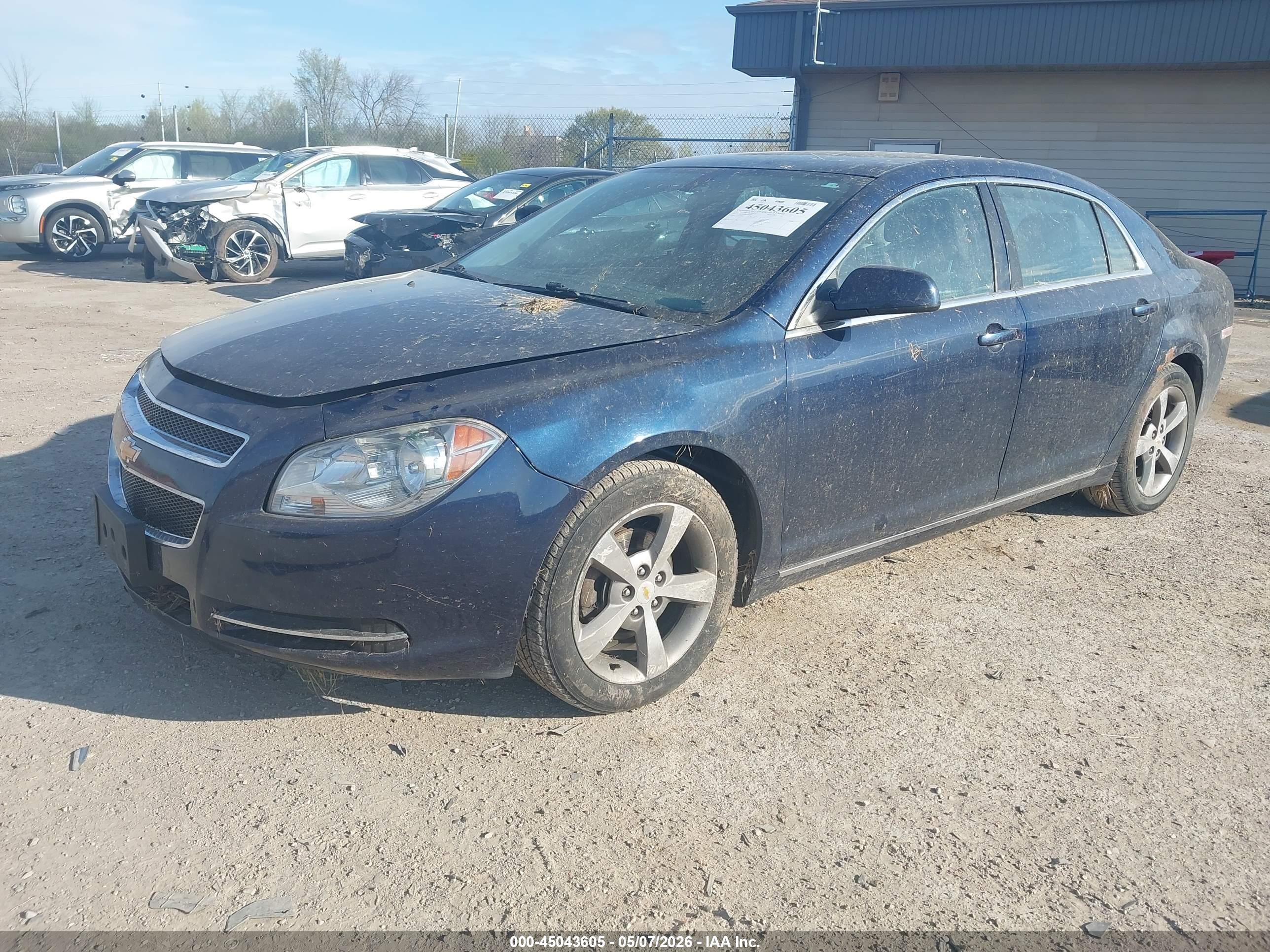 CHEVROLET MALIBU image 2