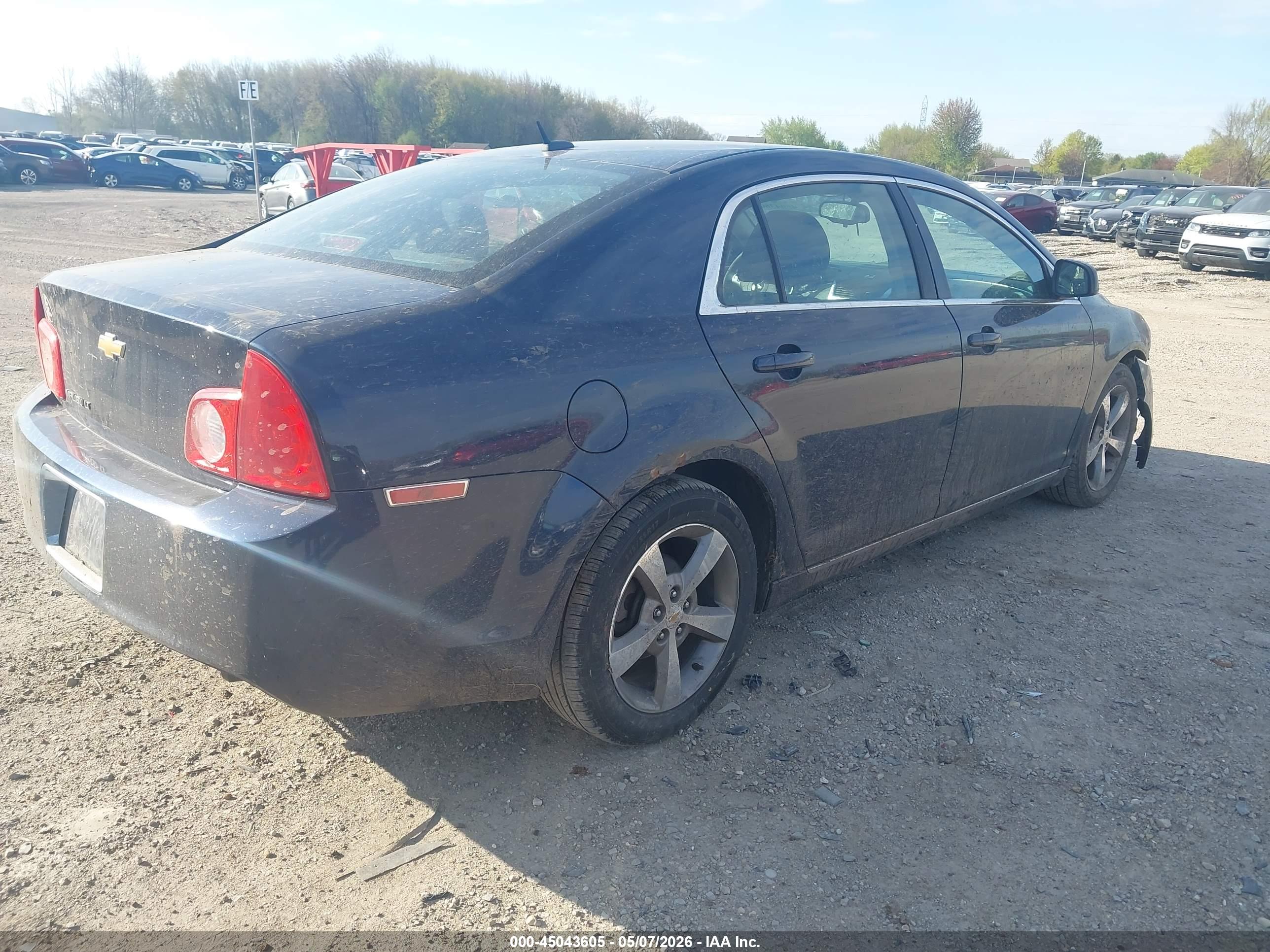 CHEVROLET MALIBU image 4
