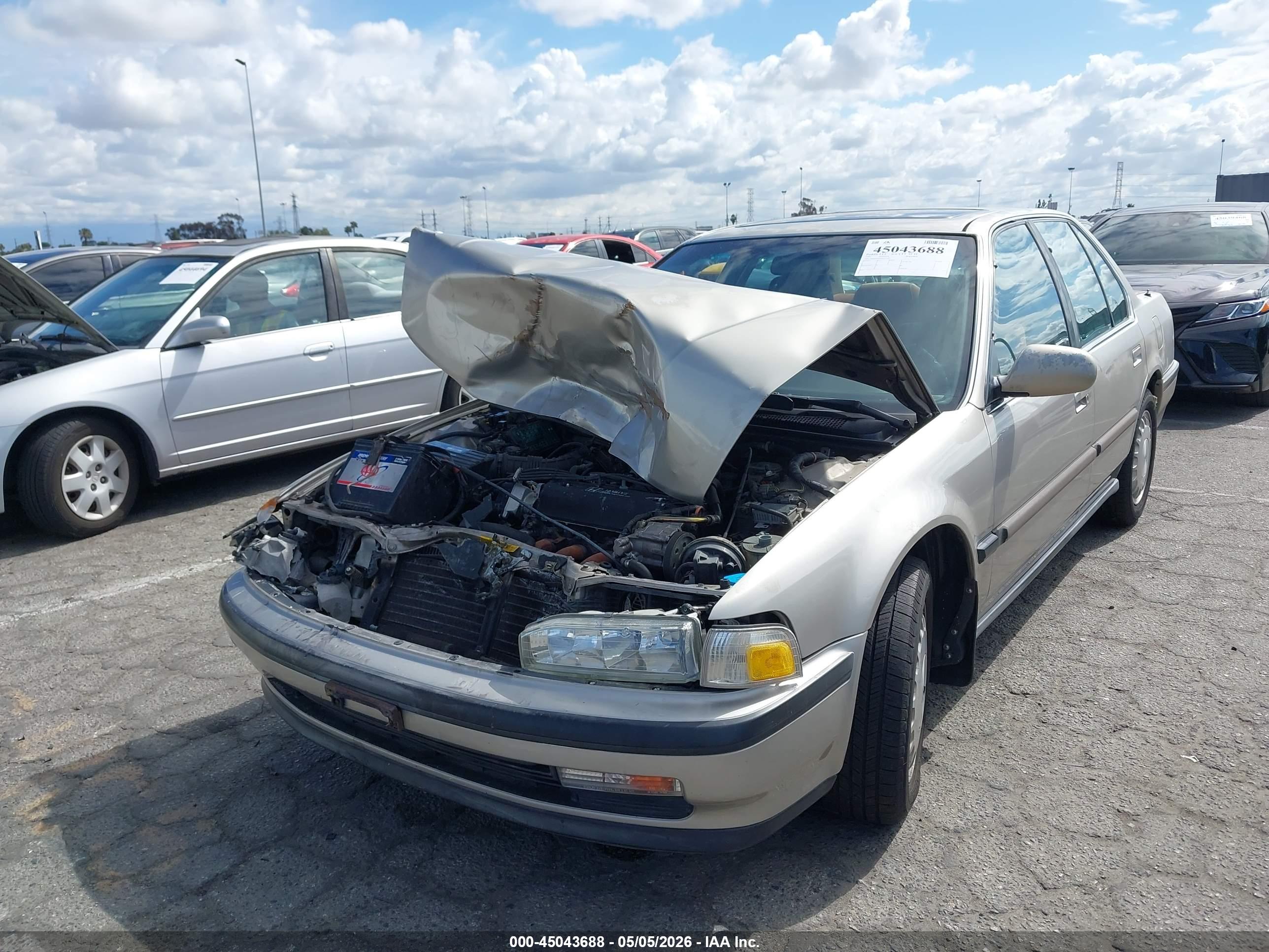 HONDA ACCORD image 2