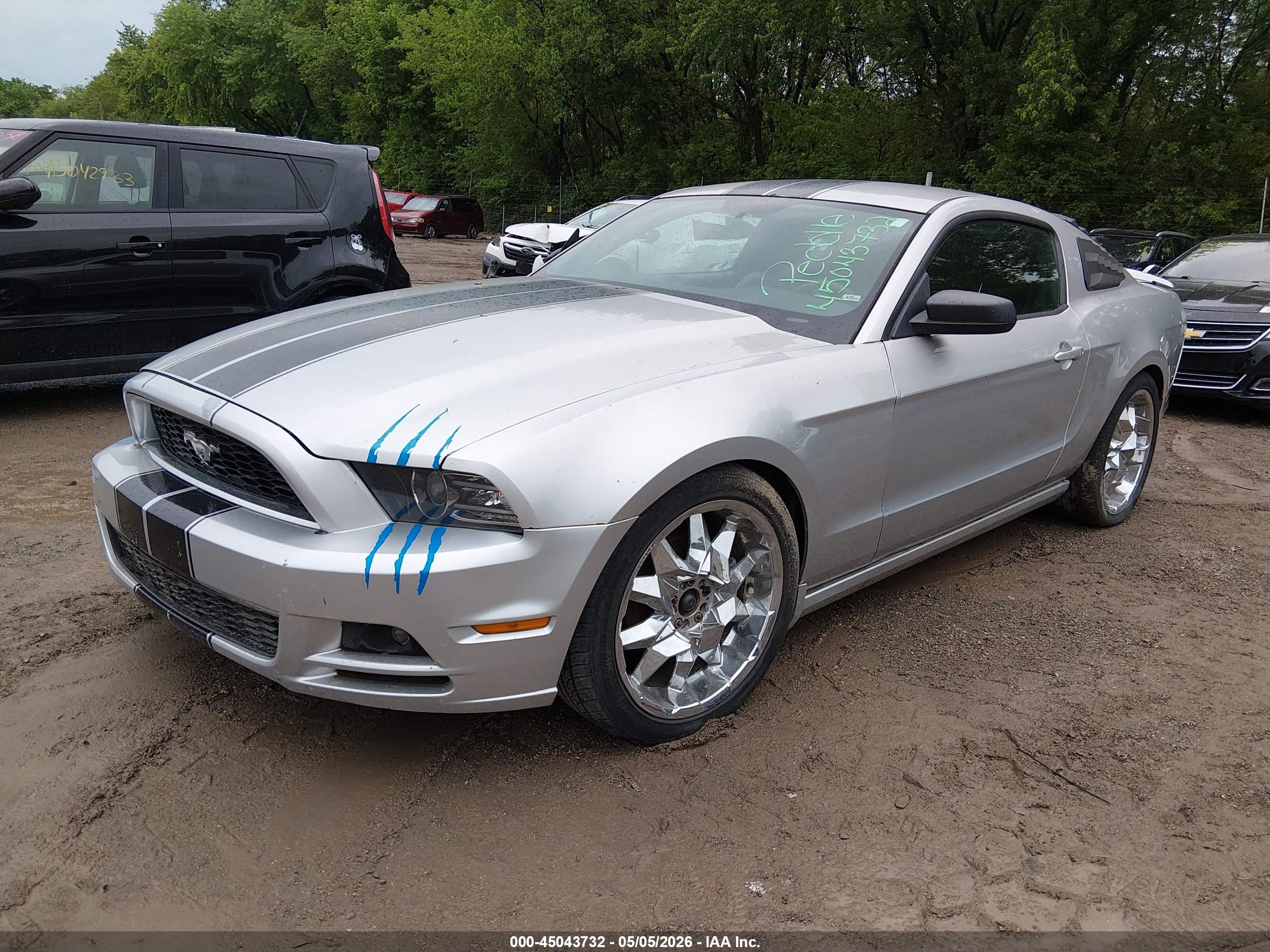 FORD MUSTANG image 2